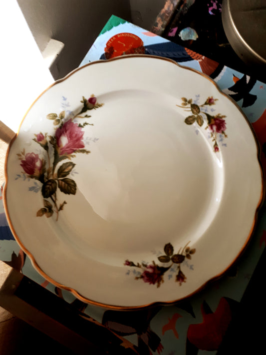 Vintage Royal Rose dinner plate with gold trim - Made in Poland