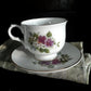 Vintage Footed Dogwood And Pansy Fine Bone China Tea Cup & Saucer (2 pieces) - Wellington - Made in England
