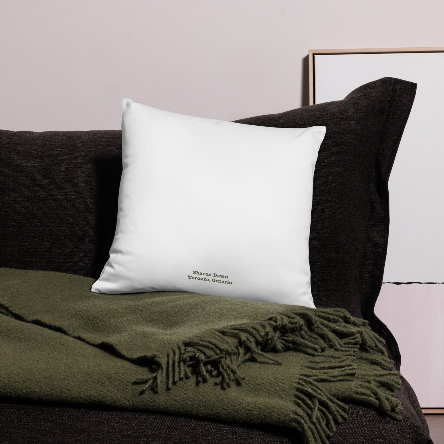 Technicolour TV - Basic Pillow ~ Sharon Dawn Collection
