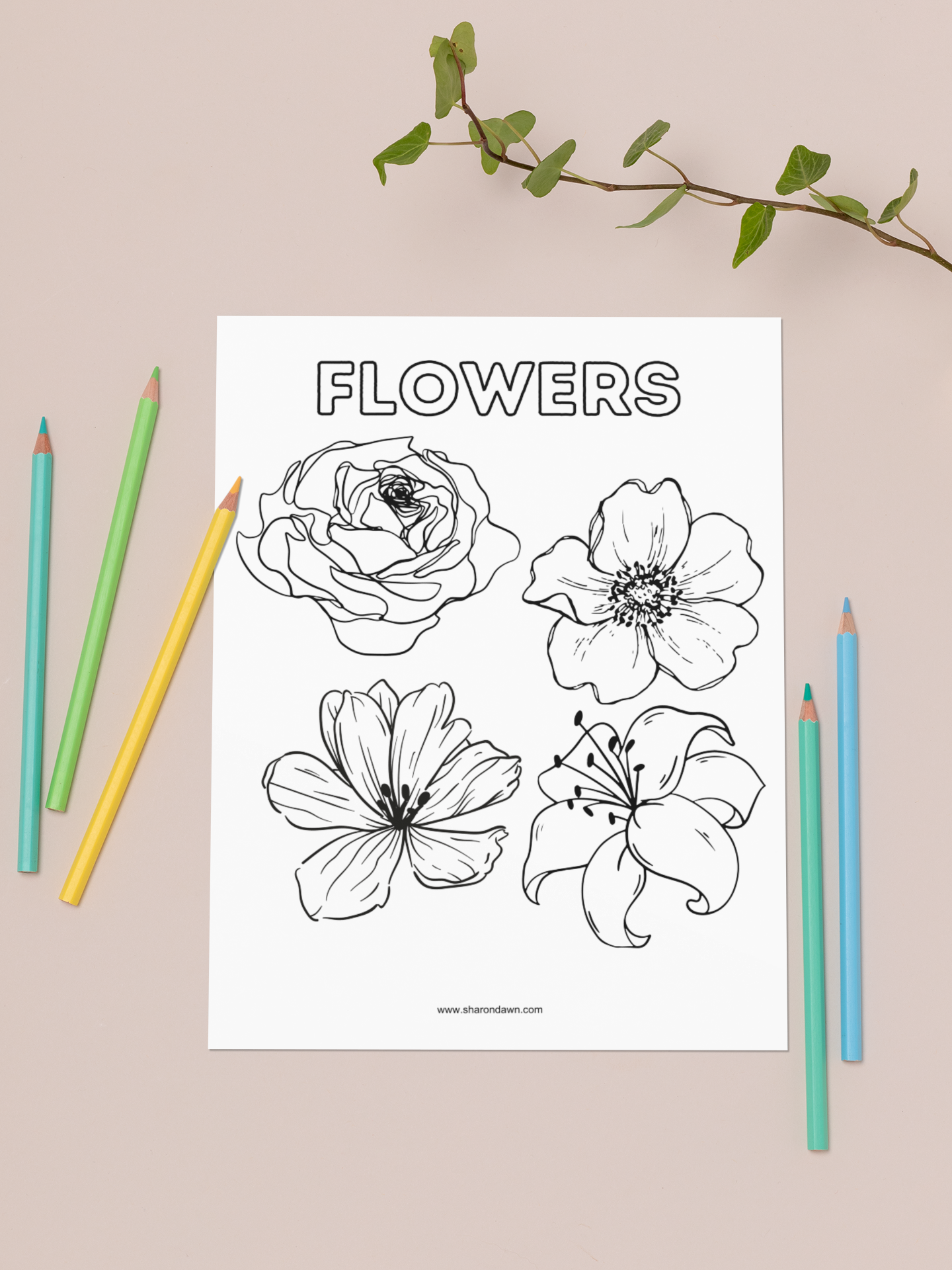 Flowers - Colouring Page - Printable Digital Download ~ Sharon Dawn Collection