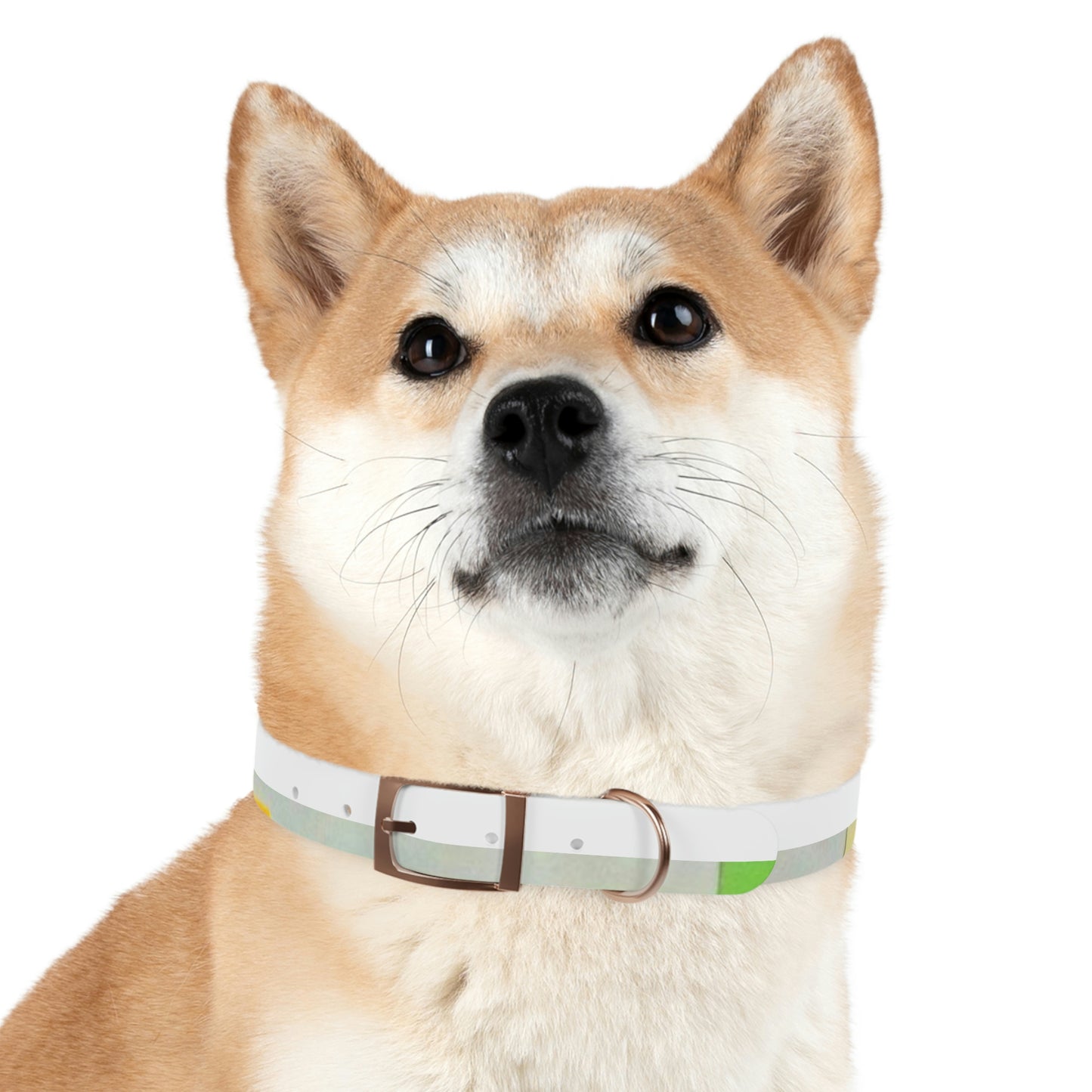 Technicolour Green - Dog Collar ~ Sharon Dawn Collection