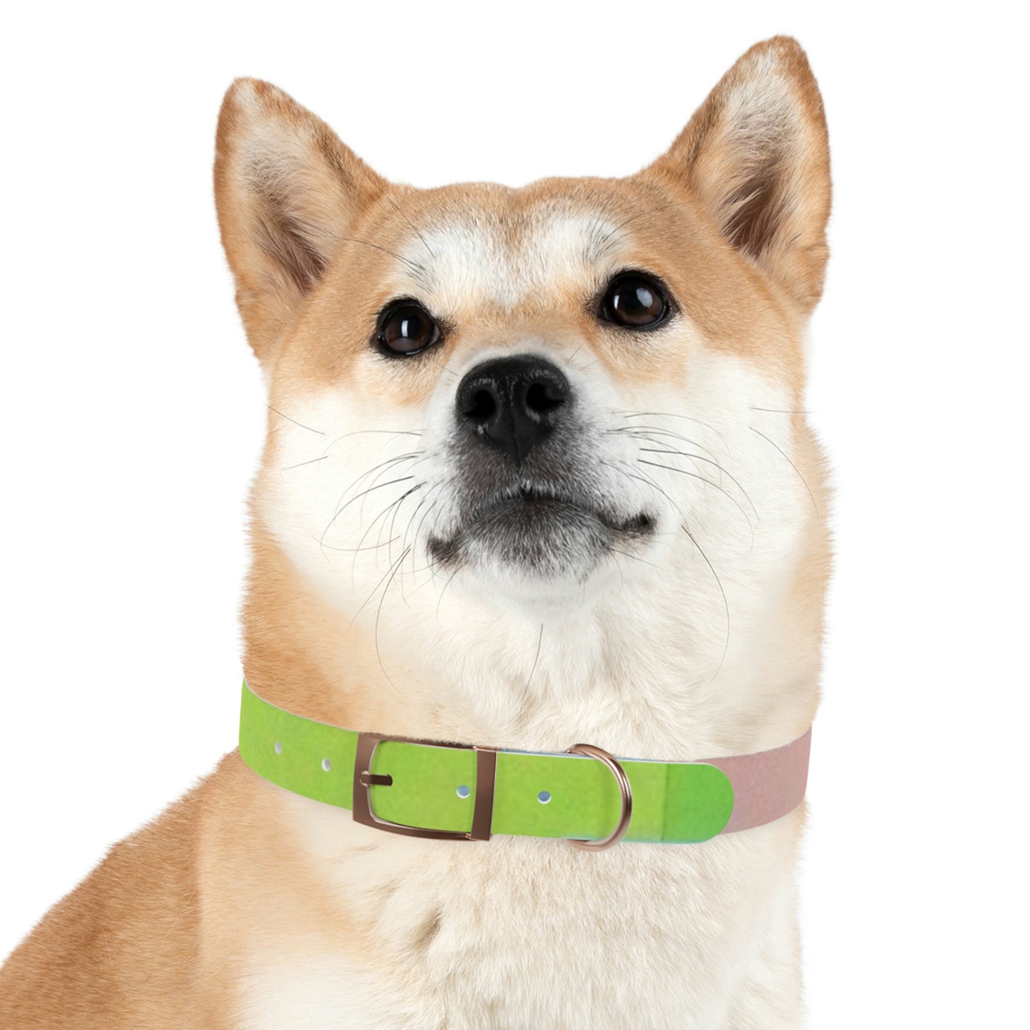 Technicolour Green - Dog Collar ~ Sharon Dawn Collection