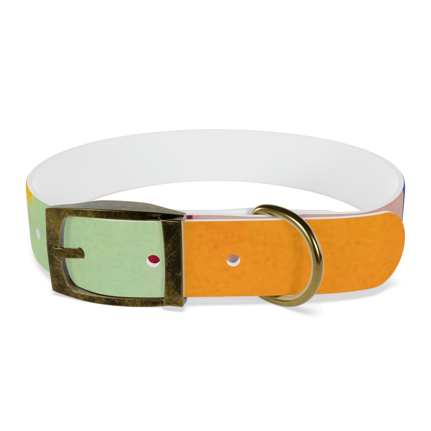 Technicolour Orange - Dog Collar ~ Sharon Dawn Collection