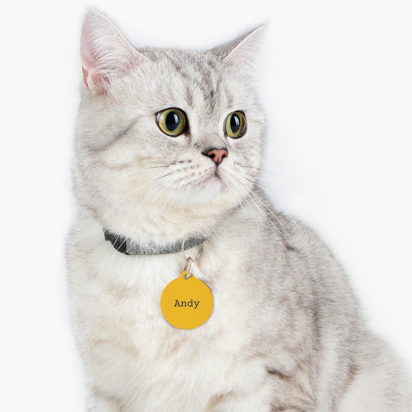 Yellow Customizable - Pet Tag ~ Sharon Dawn Collection