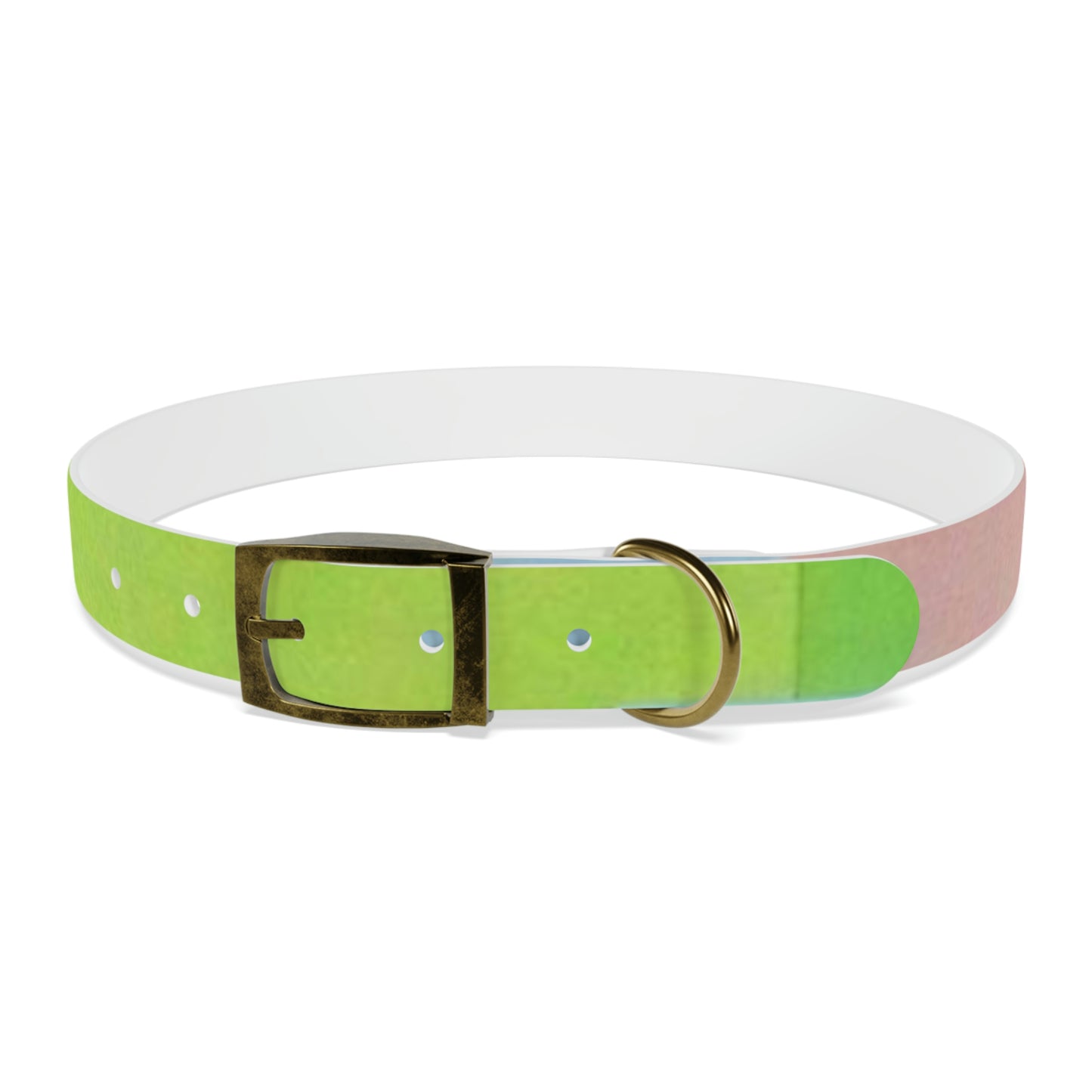 Technicolour Green - Dog Collar ~ Sharon Dawn Collection