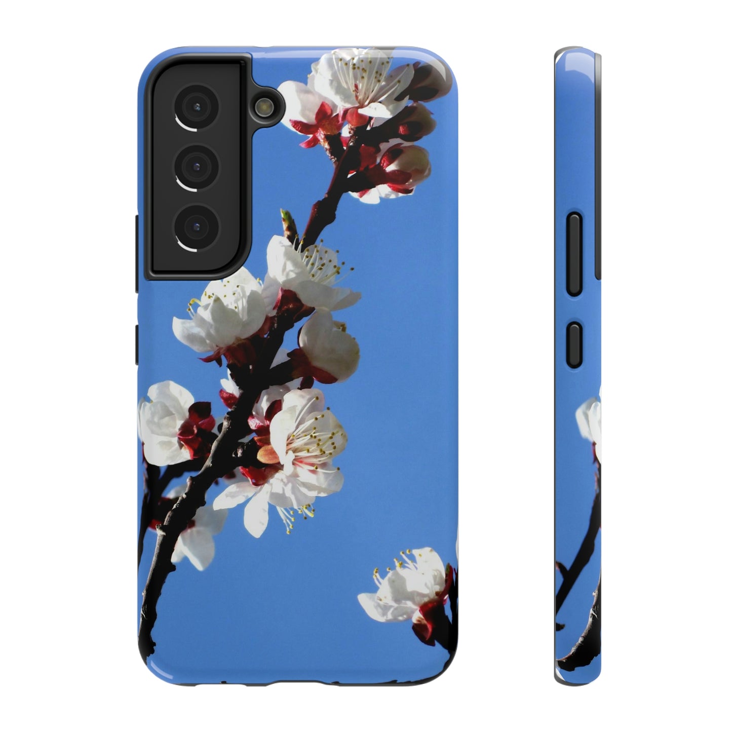 Apricot Blossoms - Impact-Resistant Cases - Phone Case ~ Sharon Dawn Collection