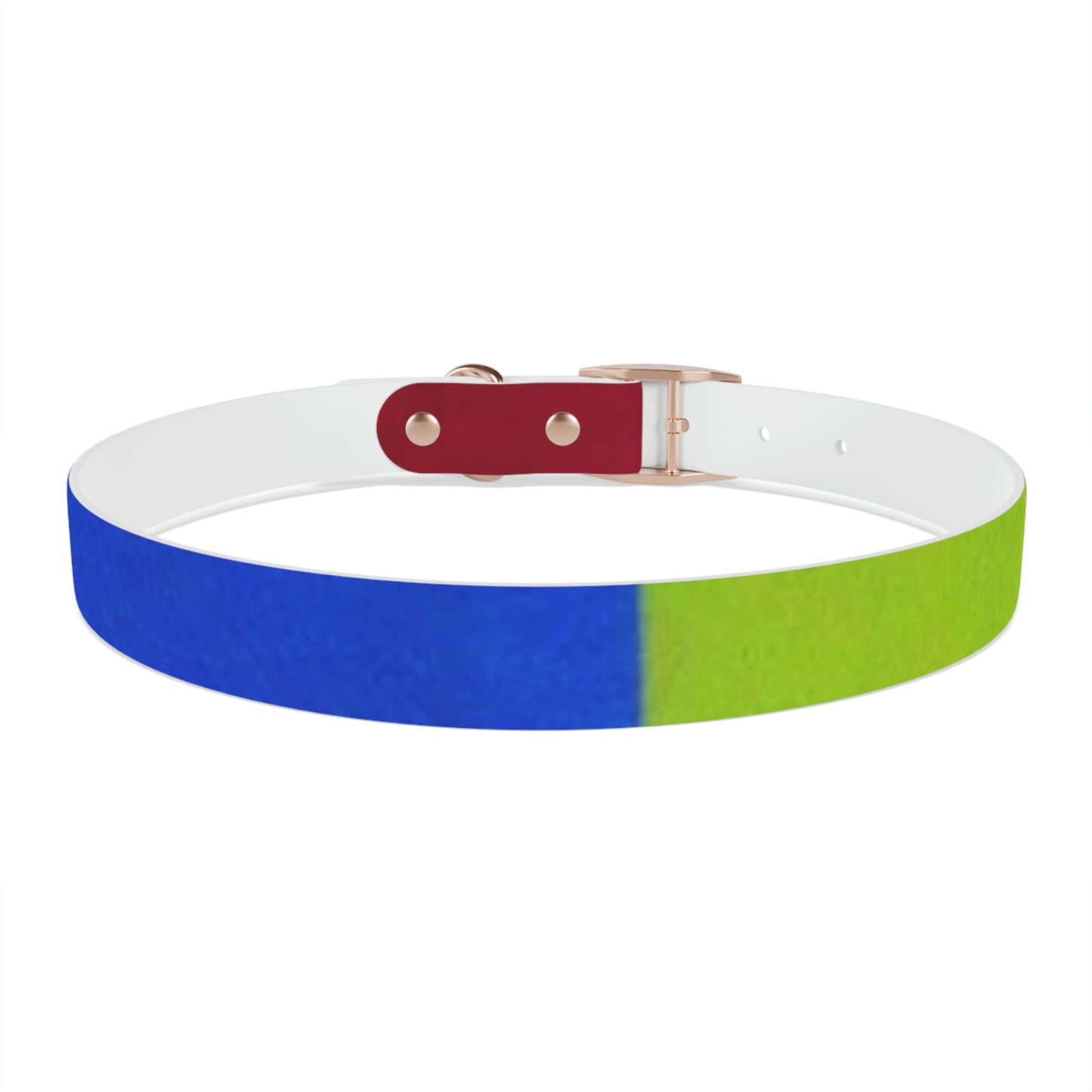 Technicolour Orange - Dog Collar ~ Sharon Dawn Collection