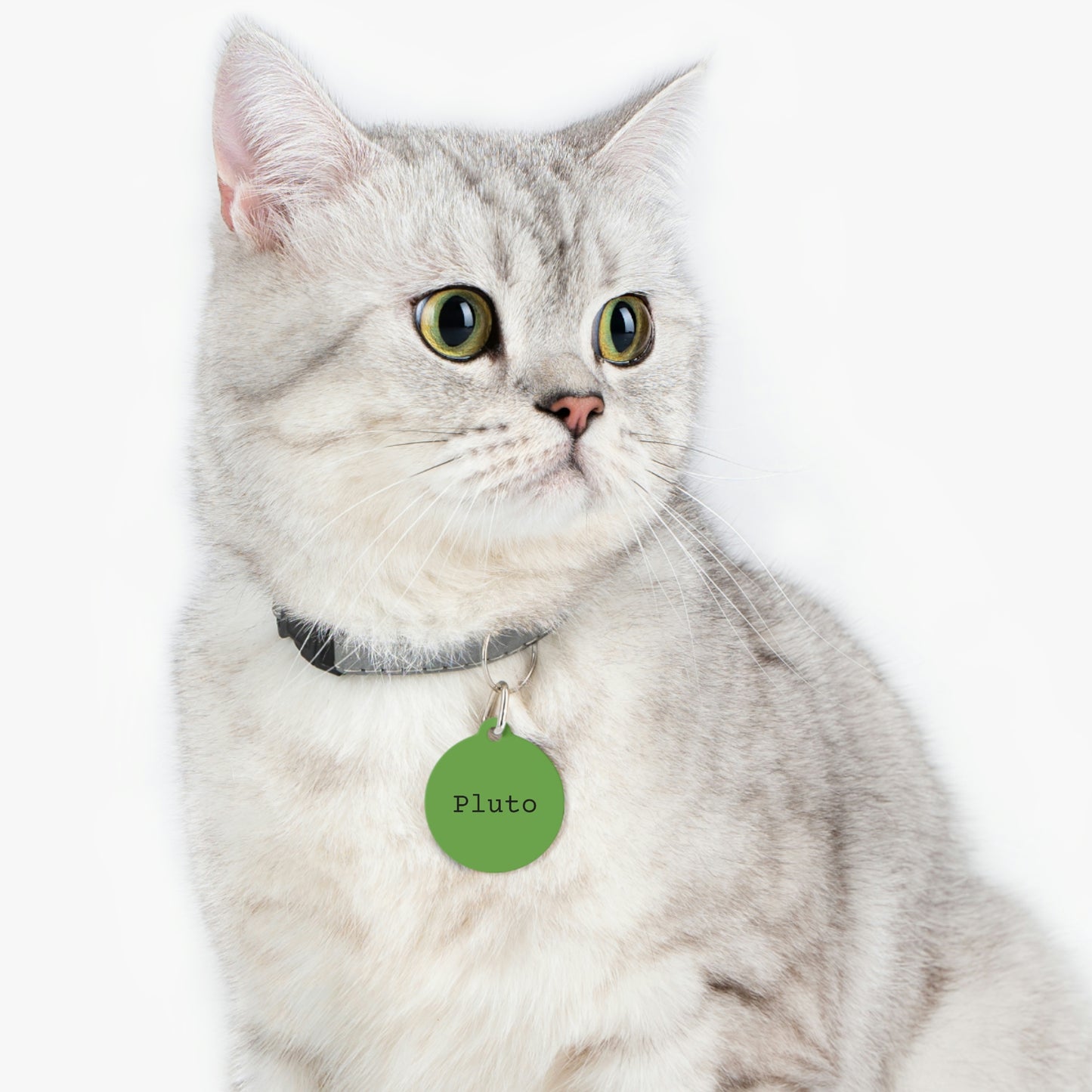 Green Customizable - Pet Tag ~ Sharon Dawn Collection