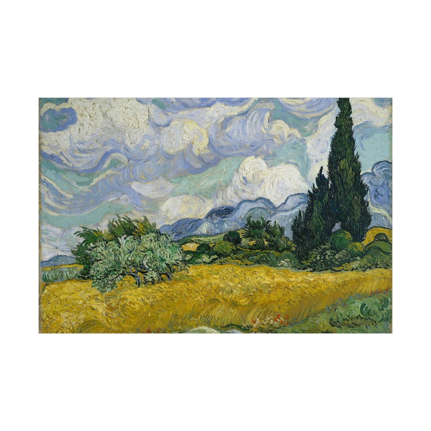 Wheat Field with Cypresses - Vincent Van Gogh - Rolled Posters