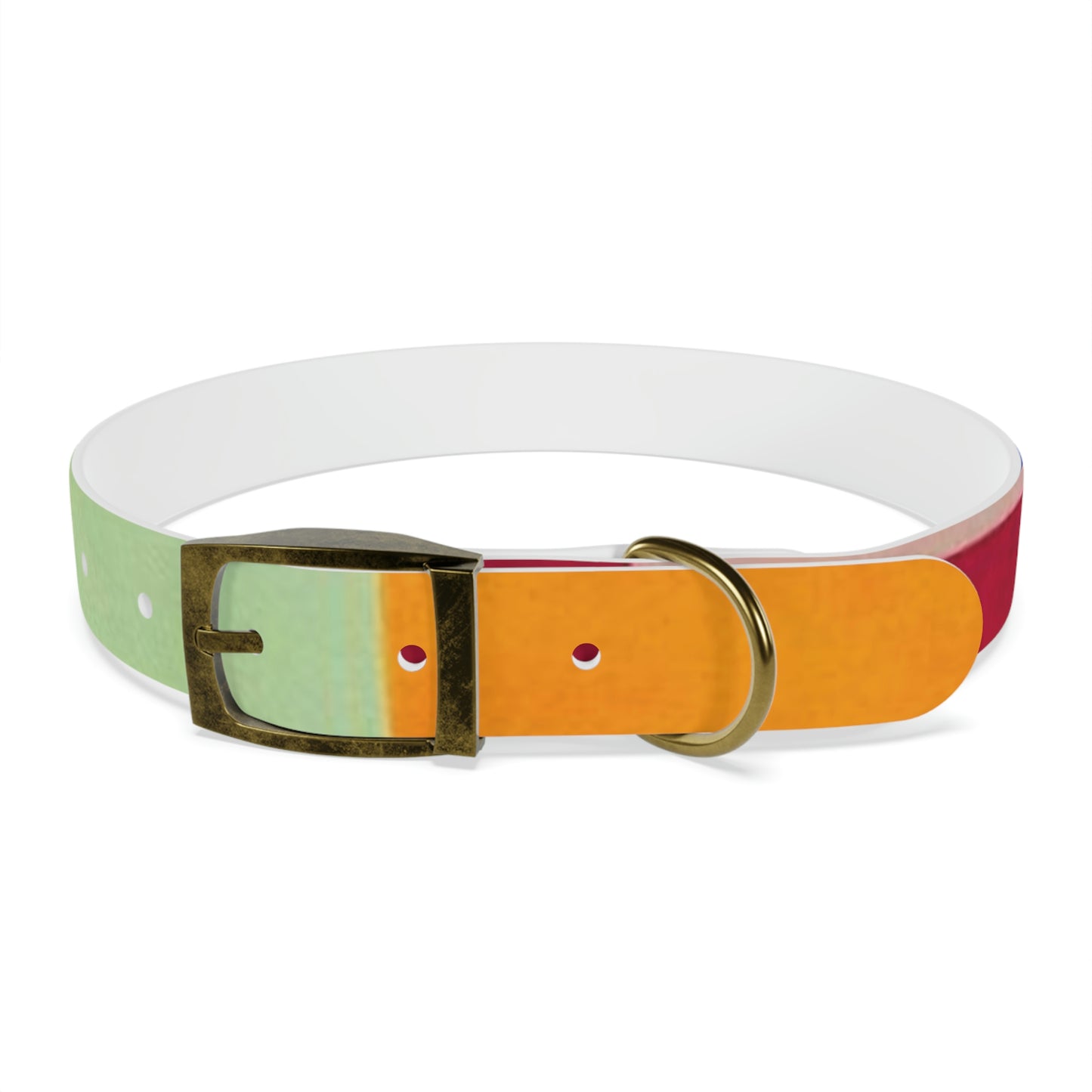 Technicolour Orange - Dog Collar ~ Sharon Dawn Collection