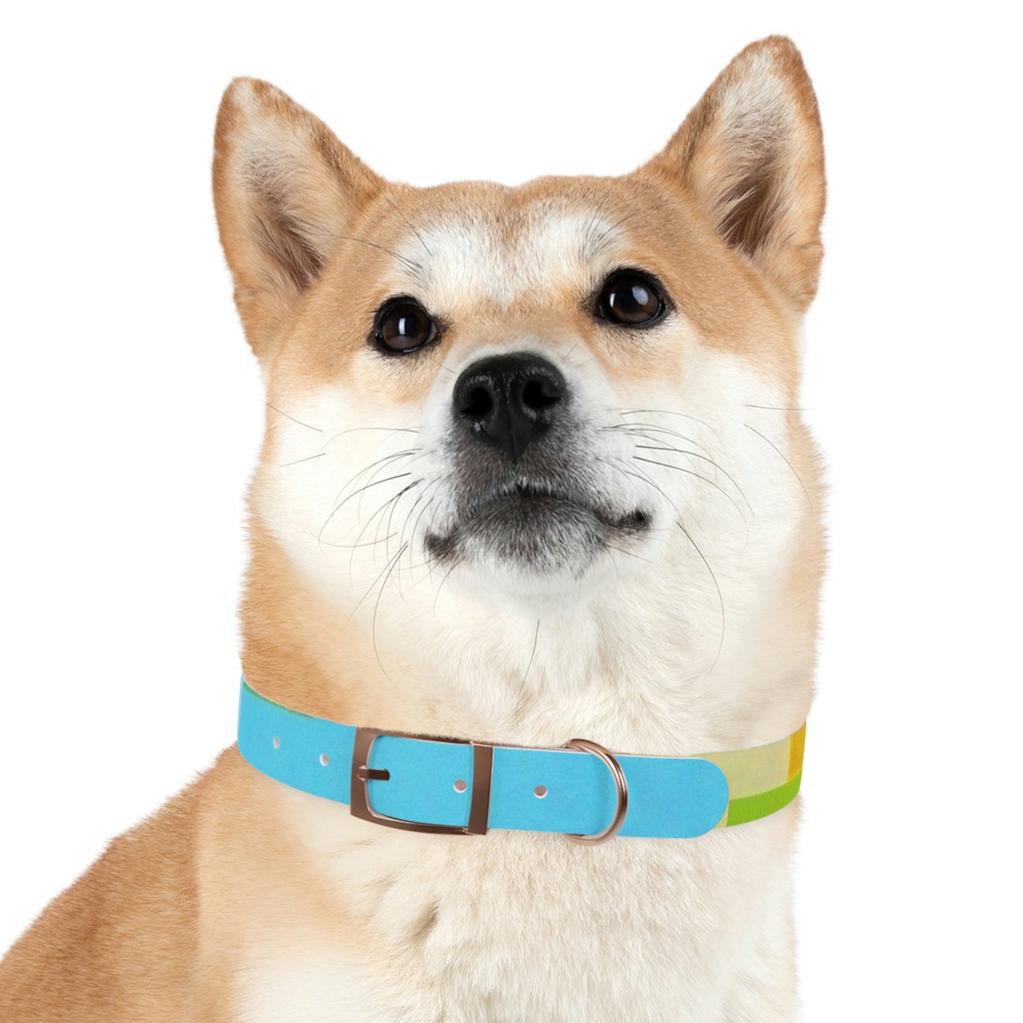 Technicolour Blue - Dog Collar ~ Sharon Dawn Collection