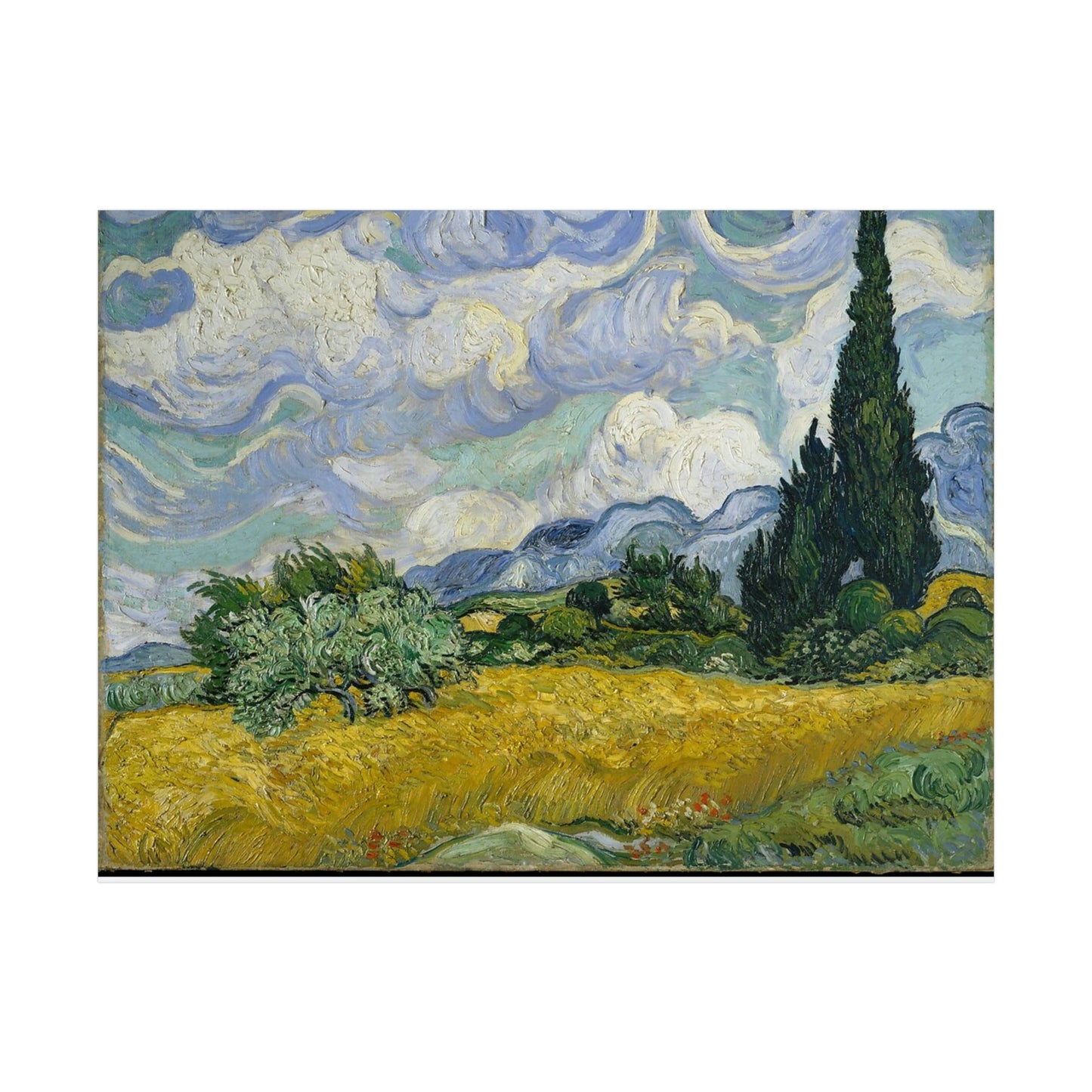 Wheat Field with Cypresses - Vincent Van Gogh - Rolled Posters