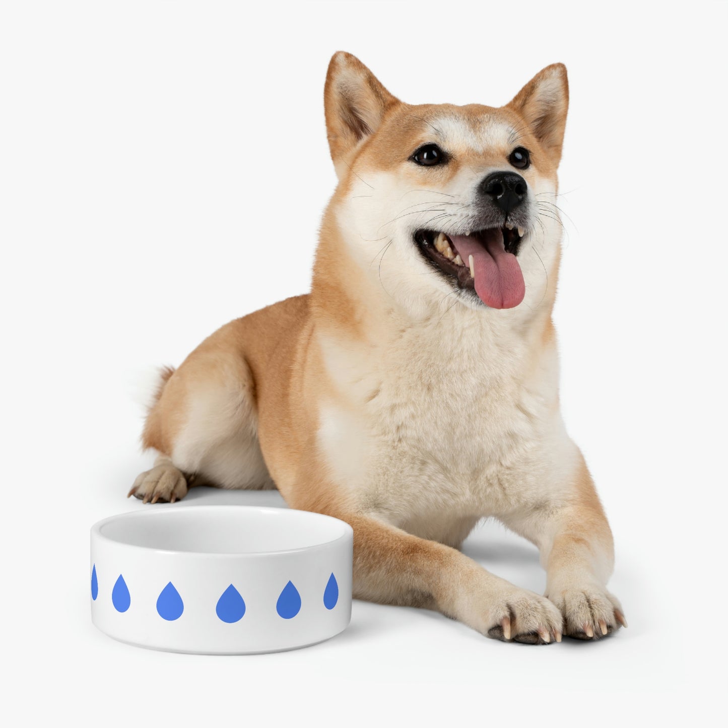 Water - Pet Bowl ~ Sharon Dawn Collection