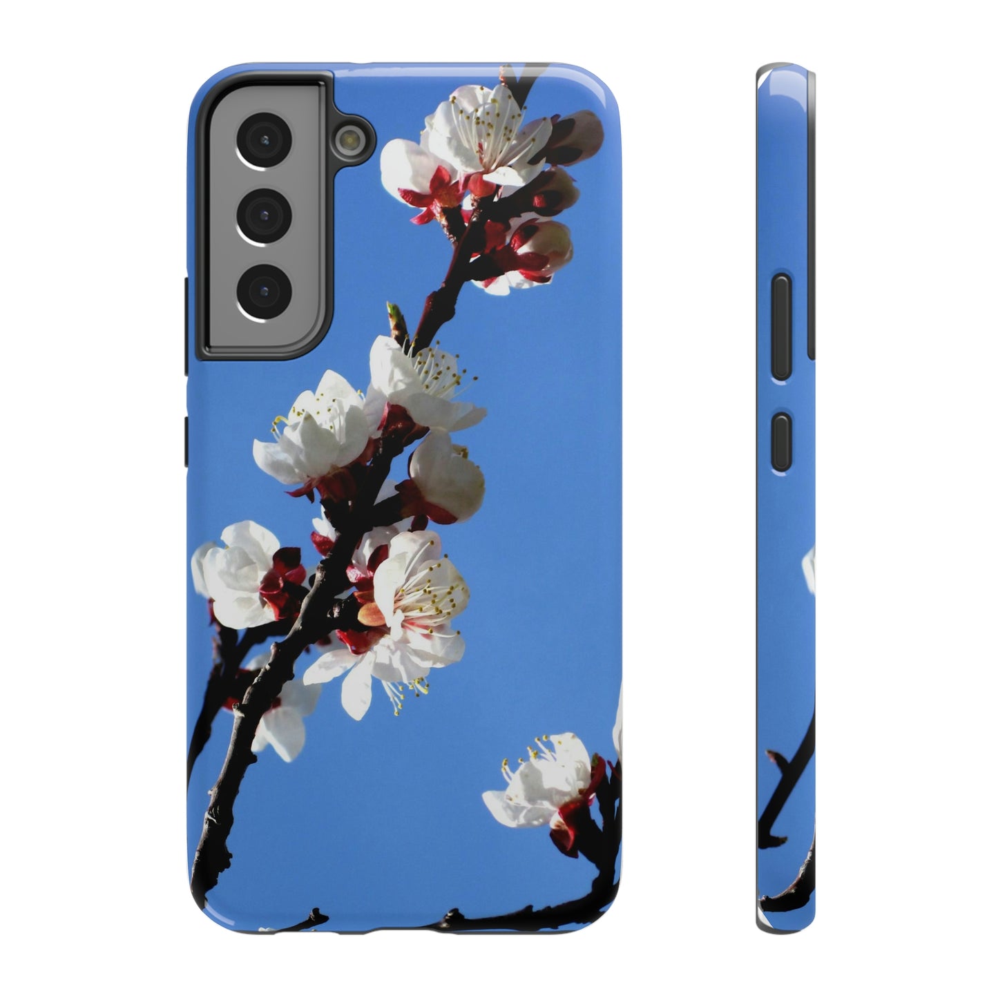 Apricot Blossoms - Impact-Resistant Cases - Phone Case ~ Sharon Dawn Collection