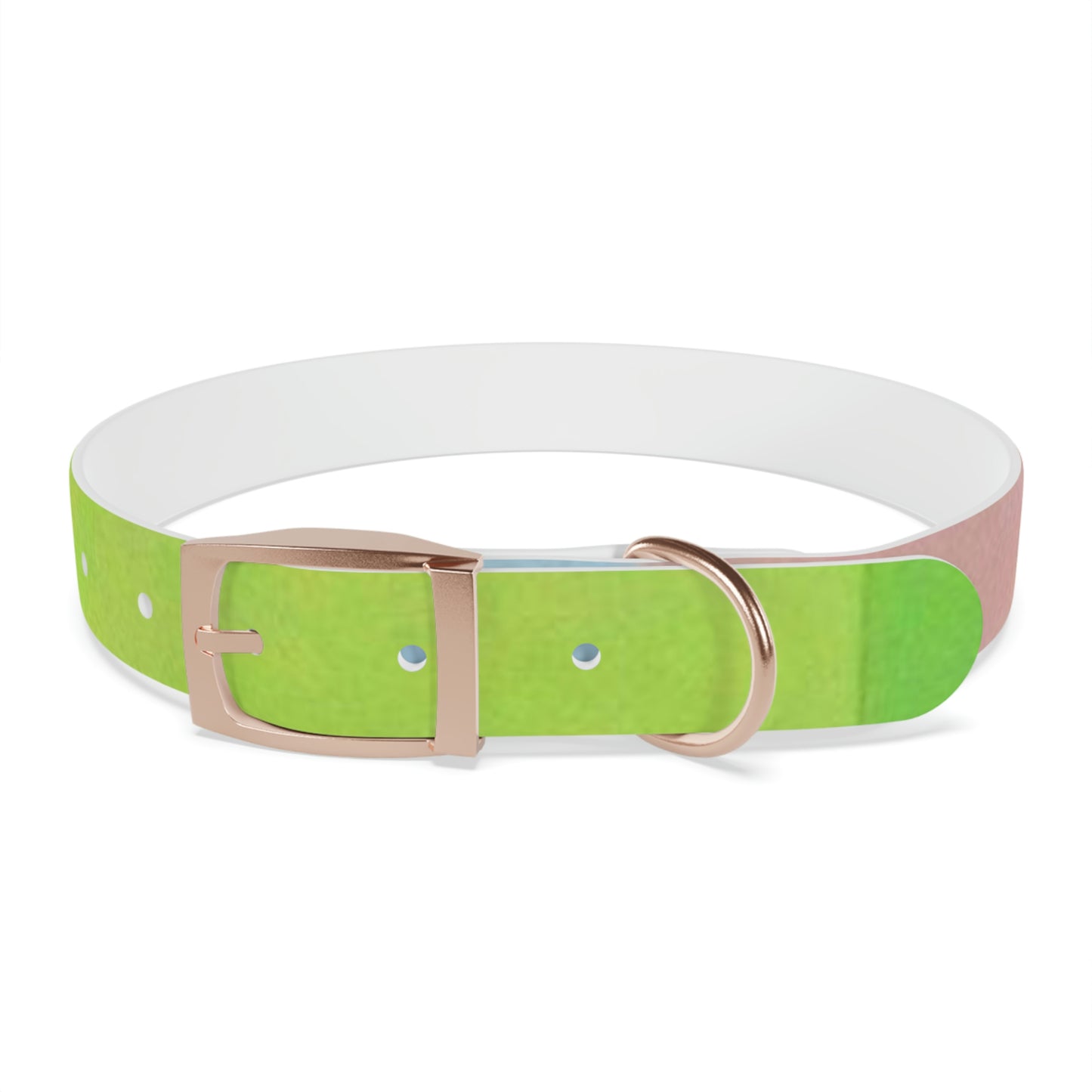 Technicolour Green - Dog Collar ~ Sharon Dawn Collection