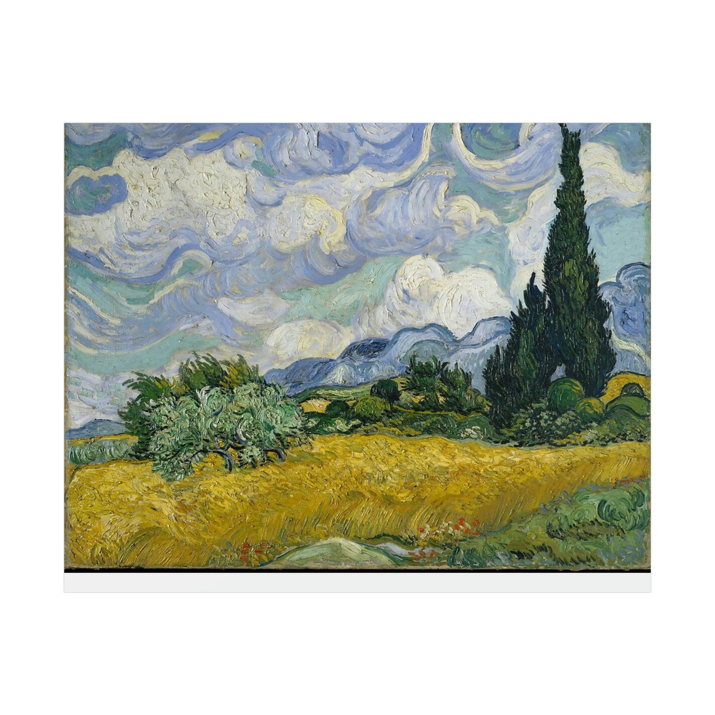 Wheat Field with Cypresses - Vincent Van Gogh - Rolled Posters