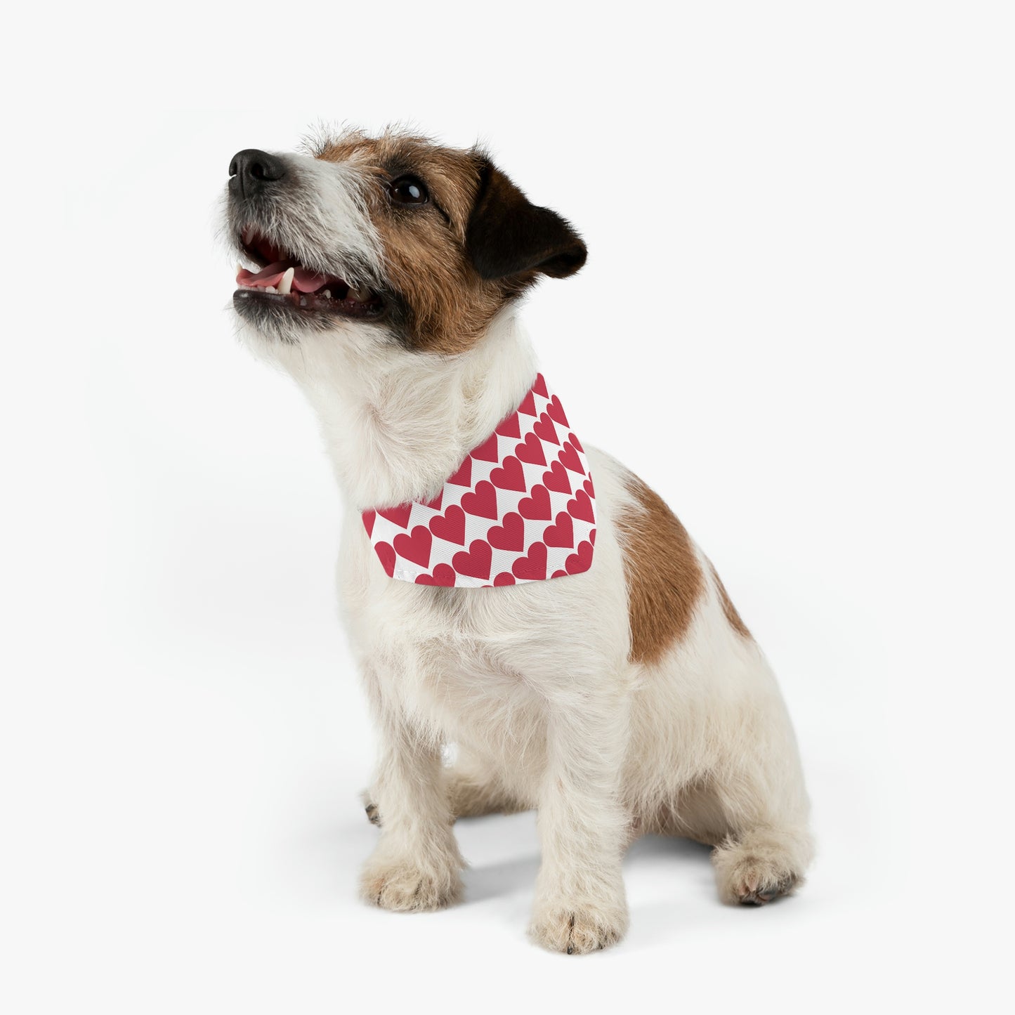 Red Heart - Pet Bandana Collar ~ Sharon Dawn Collection