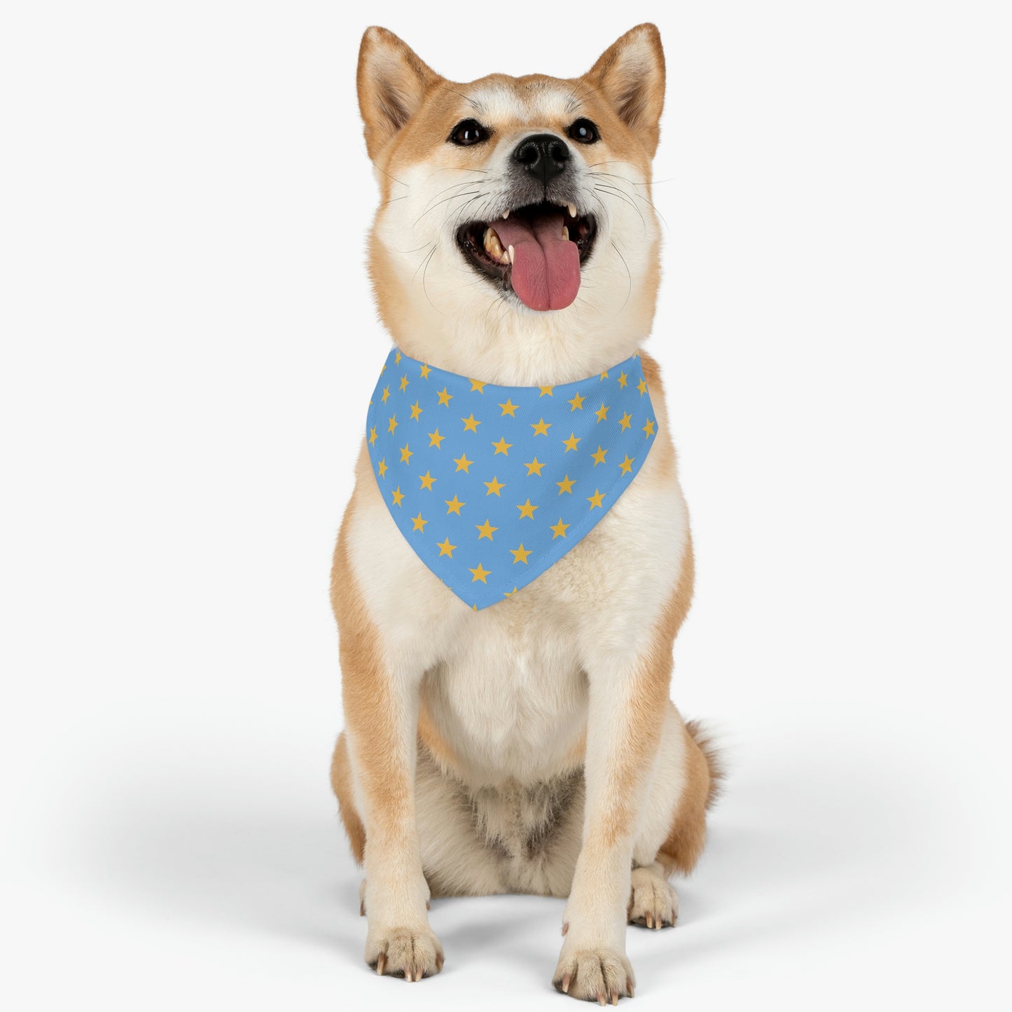 Yellow Stars in the Sky - Pet Bandana Collar ~ Sharon Dawn Collection
