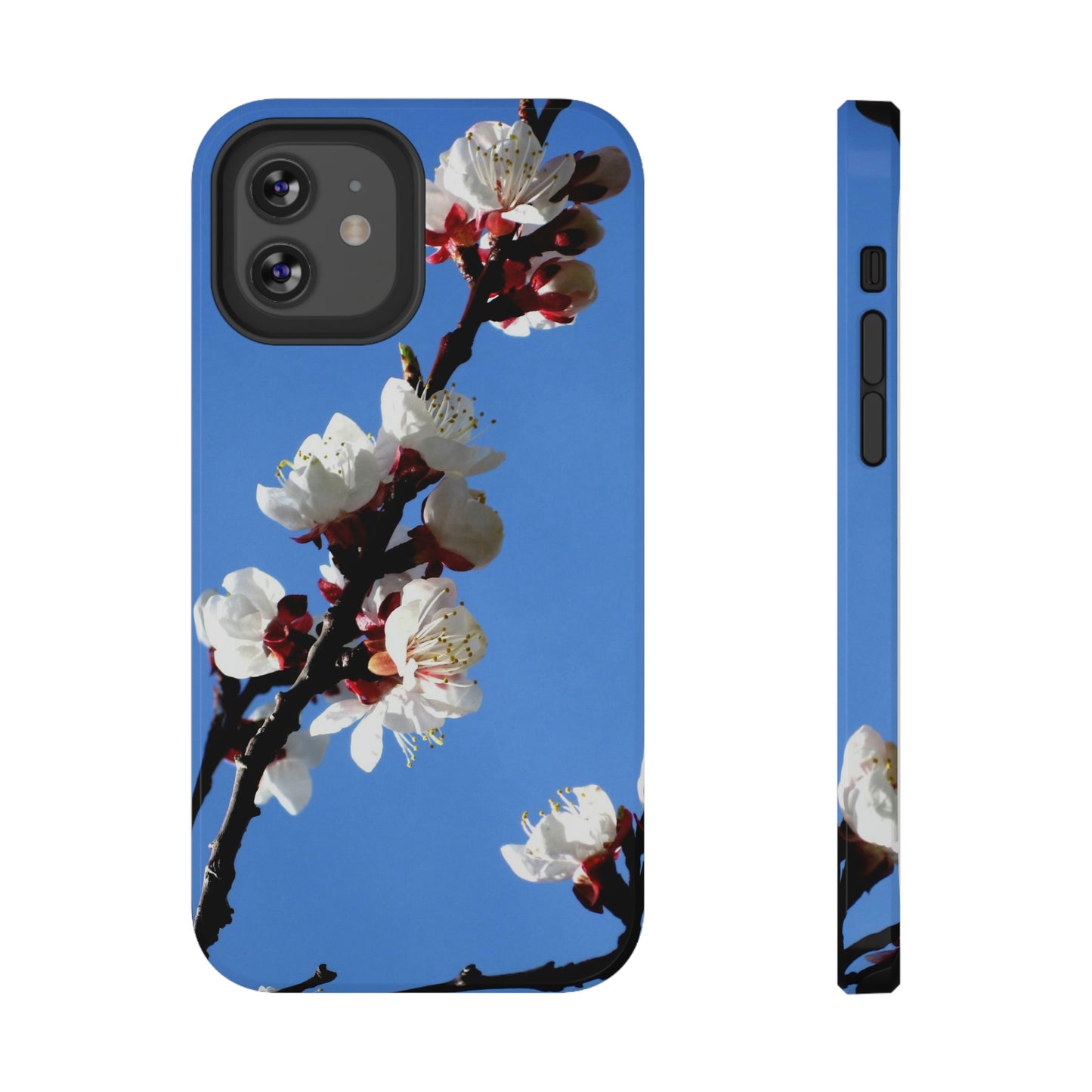 Apricot Blossoms - Impact-Resistant Cases - Phone Case ~ Sharon Dawn Collection