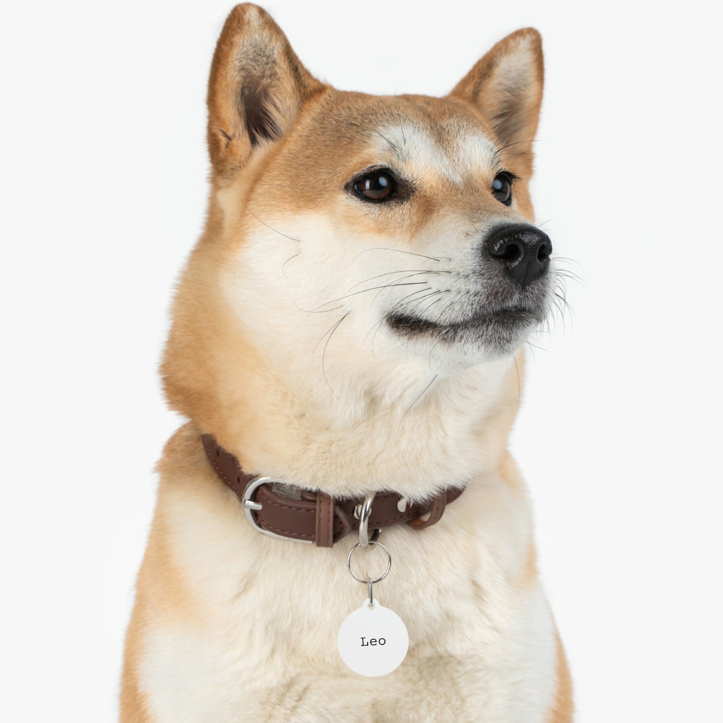 White Customizable - Pet Tag ~ Sharon Dawn Collection