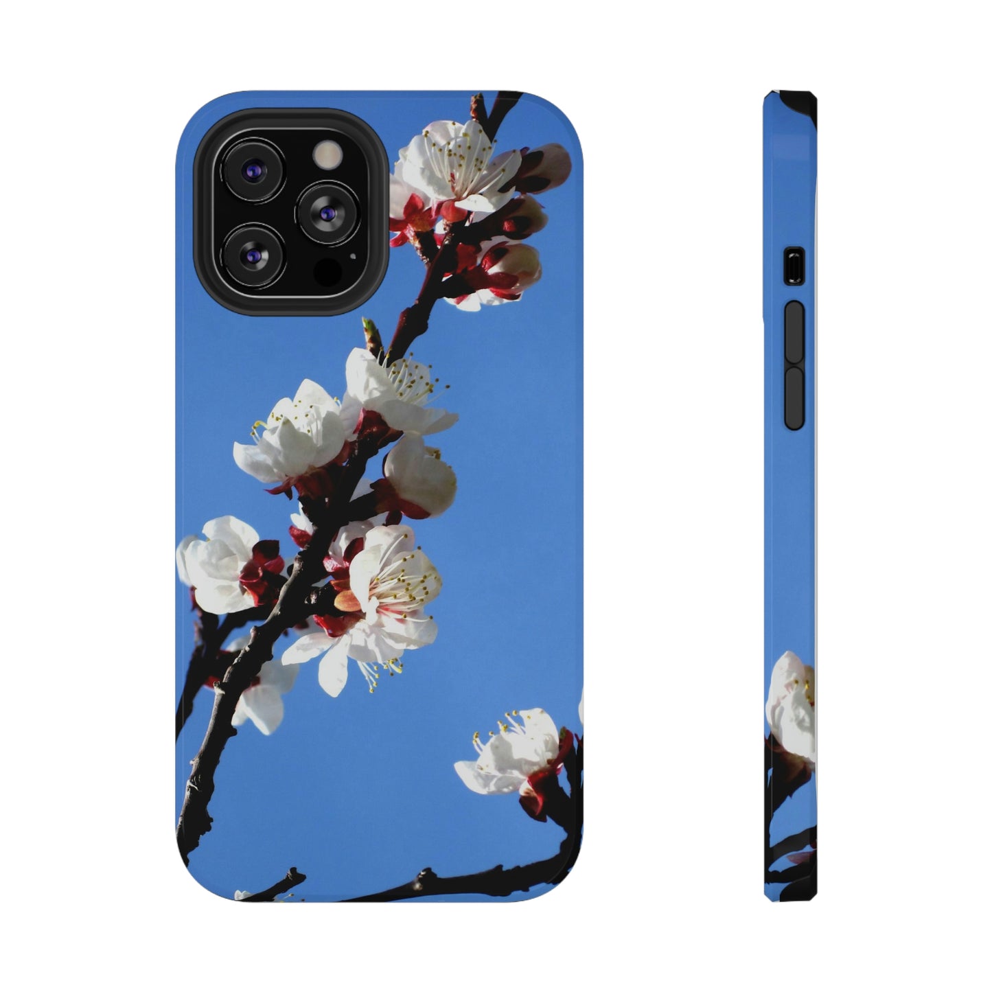 Apricot Blossoms - Impact-Resistant Cases - Phone Case ~ Sharon Dawn Collection