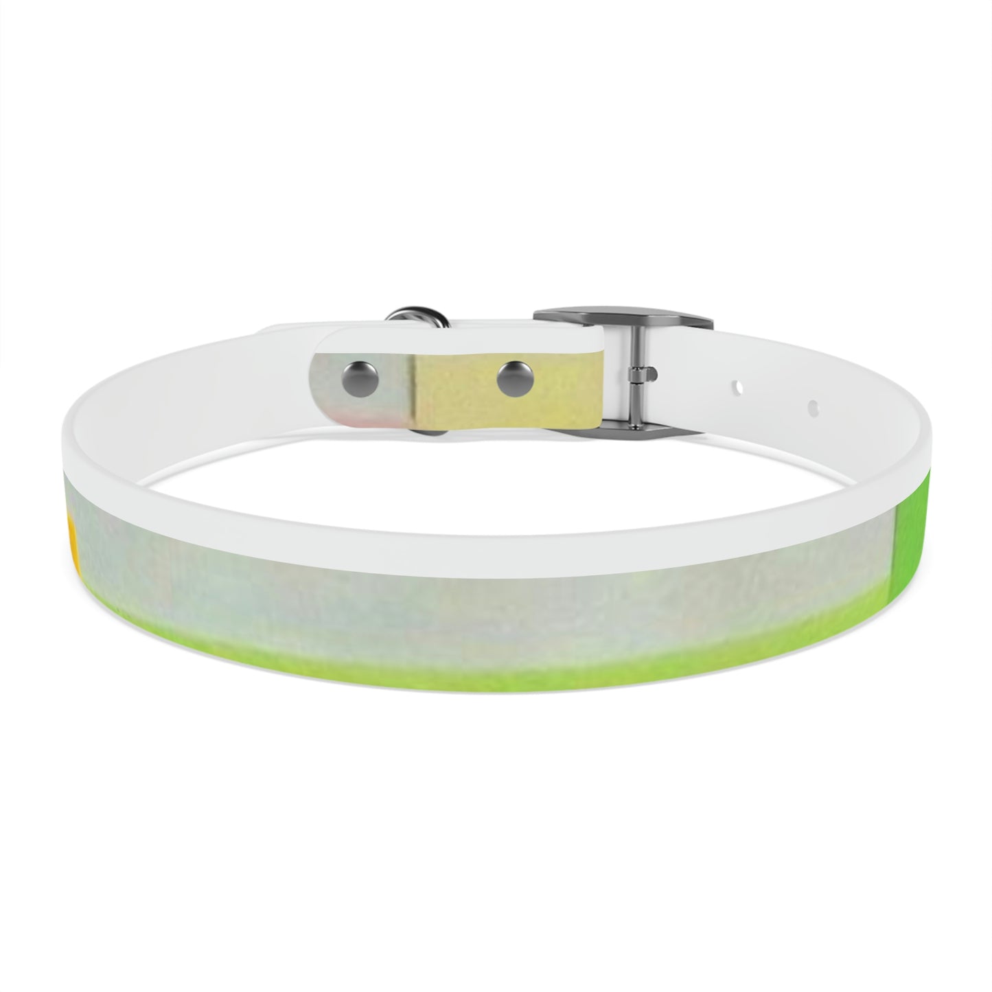 Technicolour Yellow - Dog Collar ~ Sharon Dawn Collection