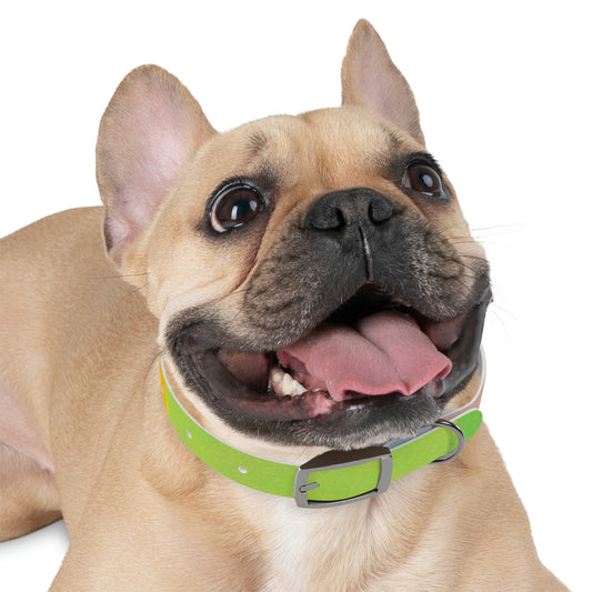 Technicolour Green - Dog Collar ~ Sharon Dawn Collection