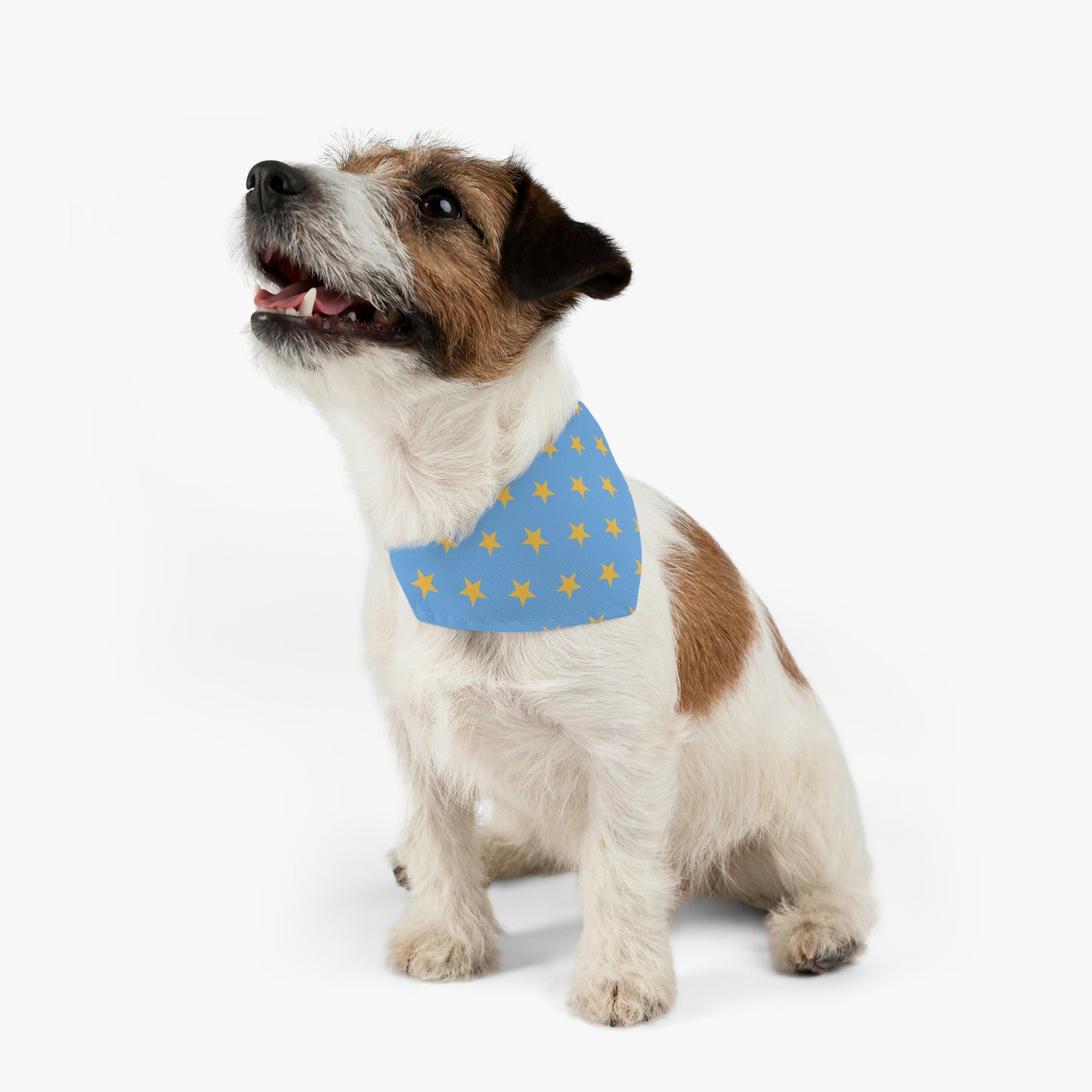 Yellow Stars in the Sky - Pet Bandana Collar ~ Sharon Dawn Collection