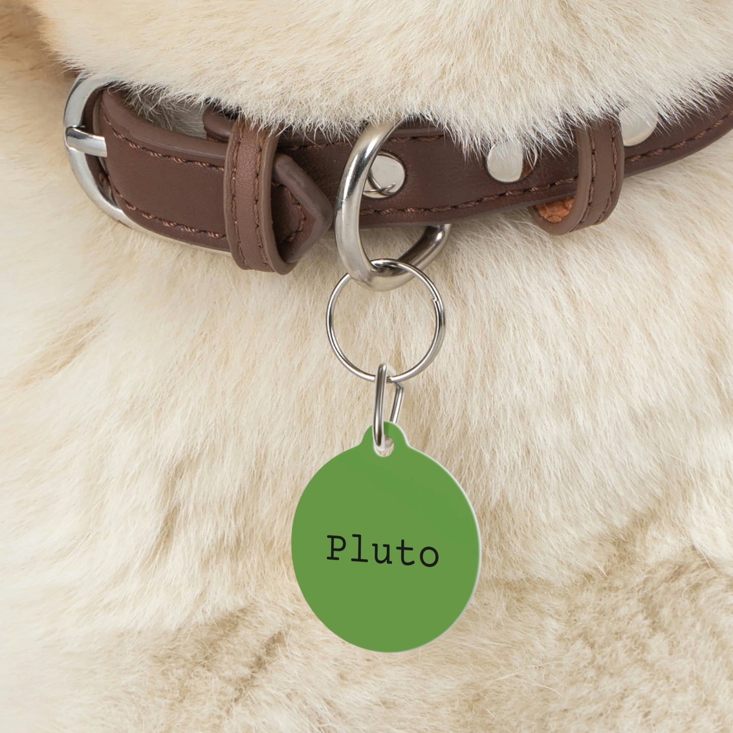 Green Customizable - Pet Tag ~ Sharon Dawn Collection