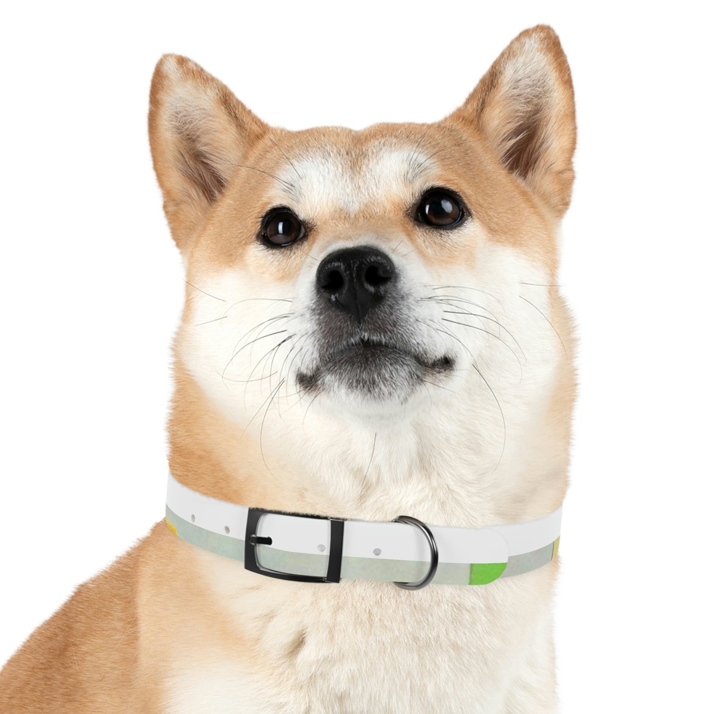 Technicolour Green - Dog Collar ~ Sharon Dawn Collection
