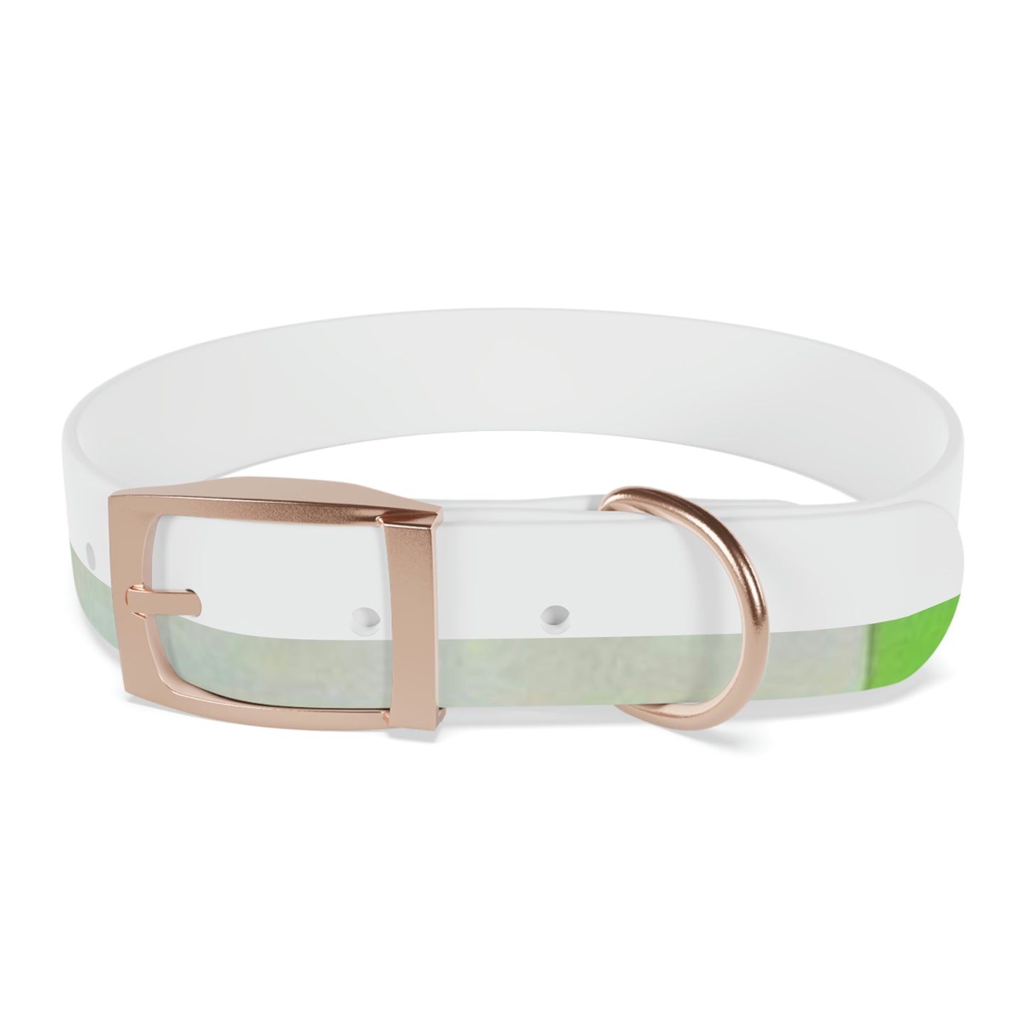 Technicolour Green - Dog Collar ~ Sharon Dawn Collection