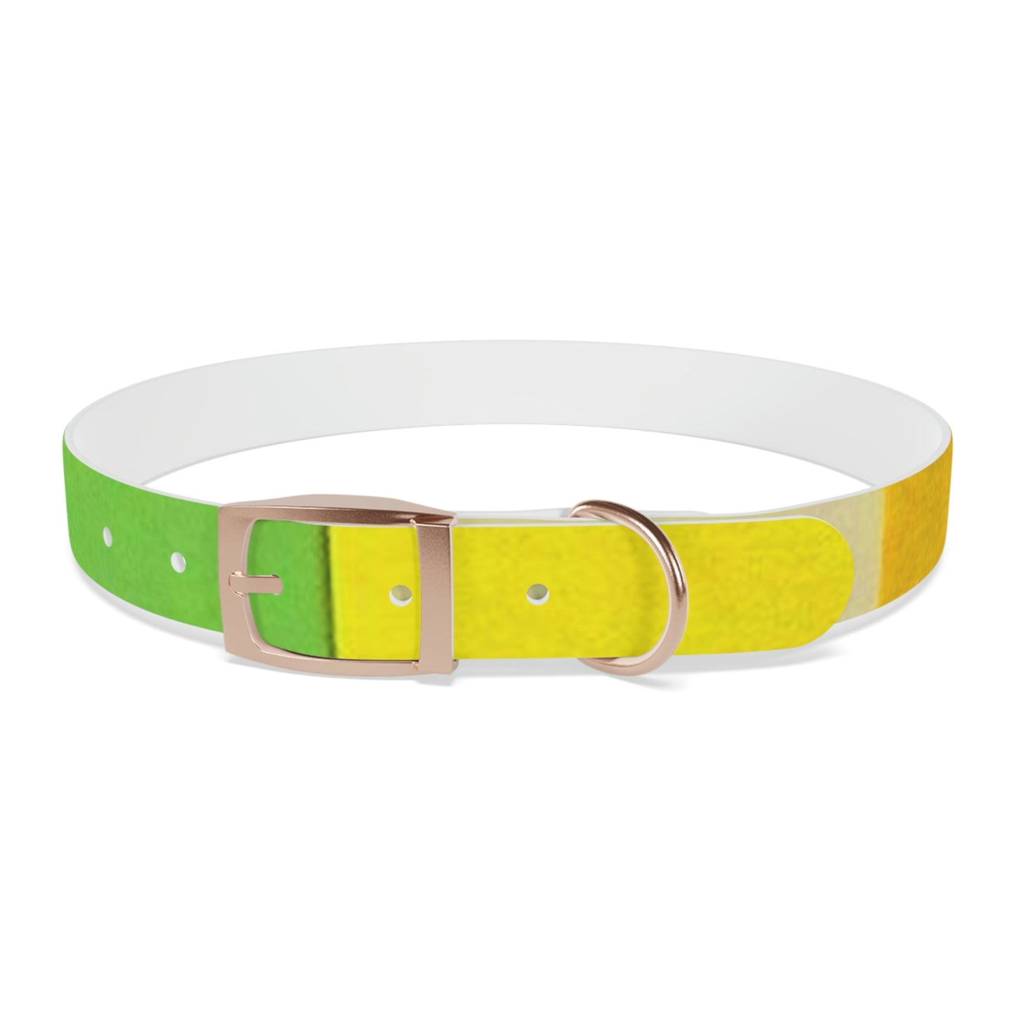 Technicolour Yellow - Dog Collar ~ Sharon Dawn Collection