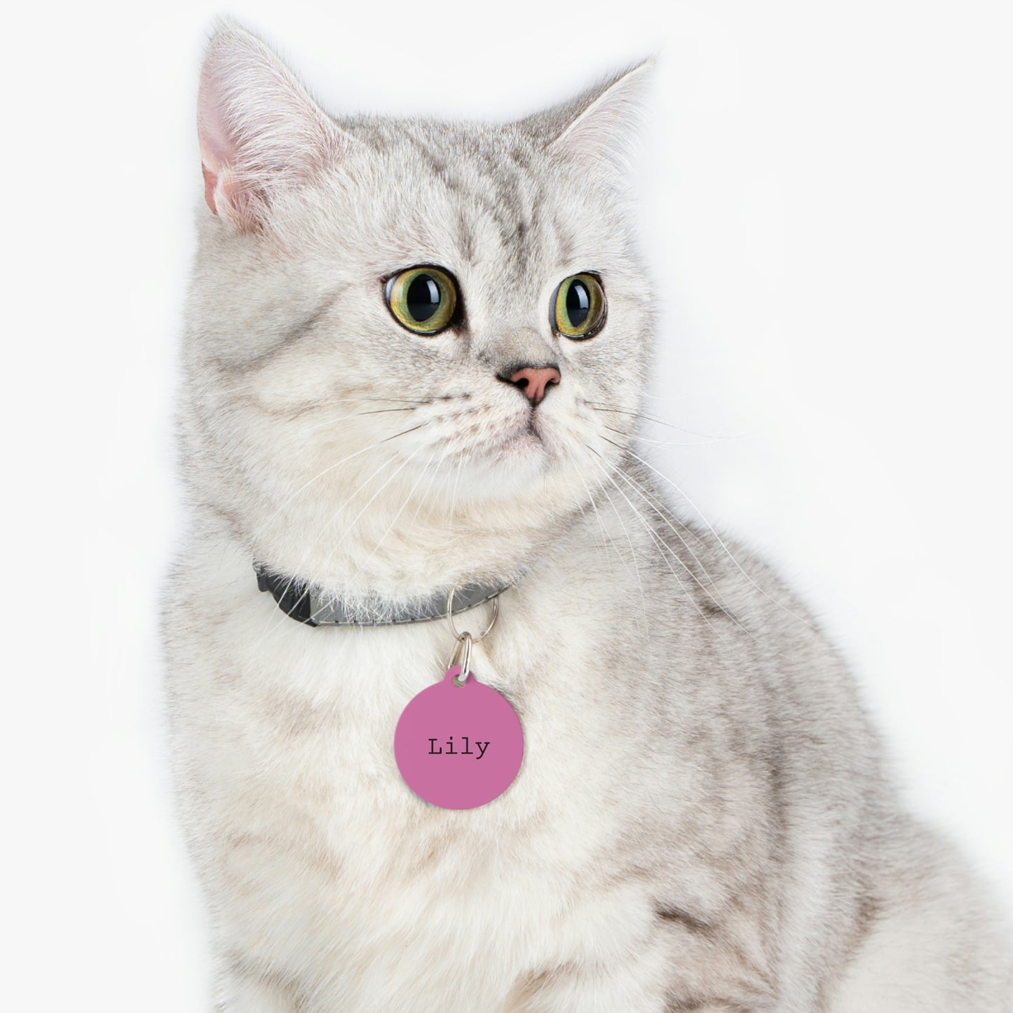 Pink Customizable - Pet Tag ~ Sharon Dawn Collection