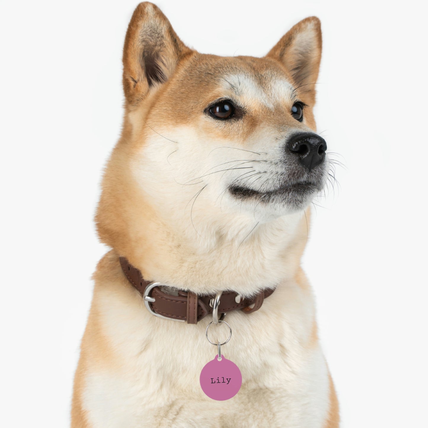 Pink Customizable - Pet Tag ~ Sharon Dawn Collection