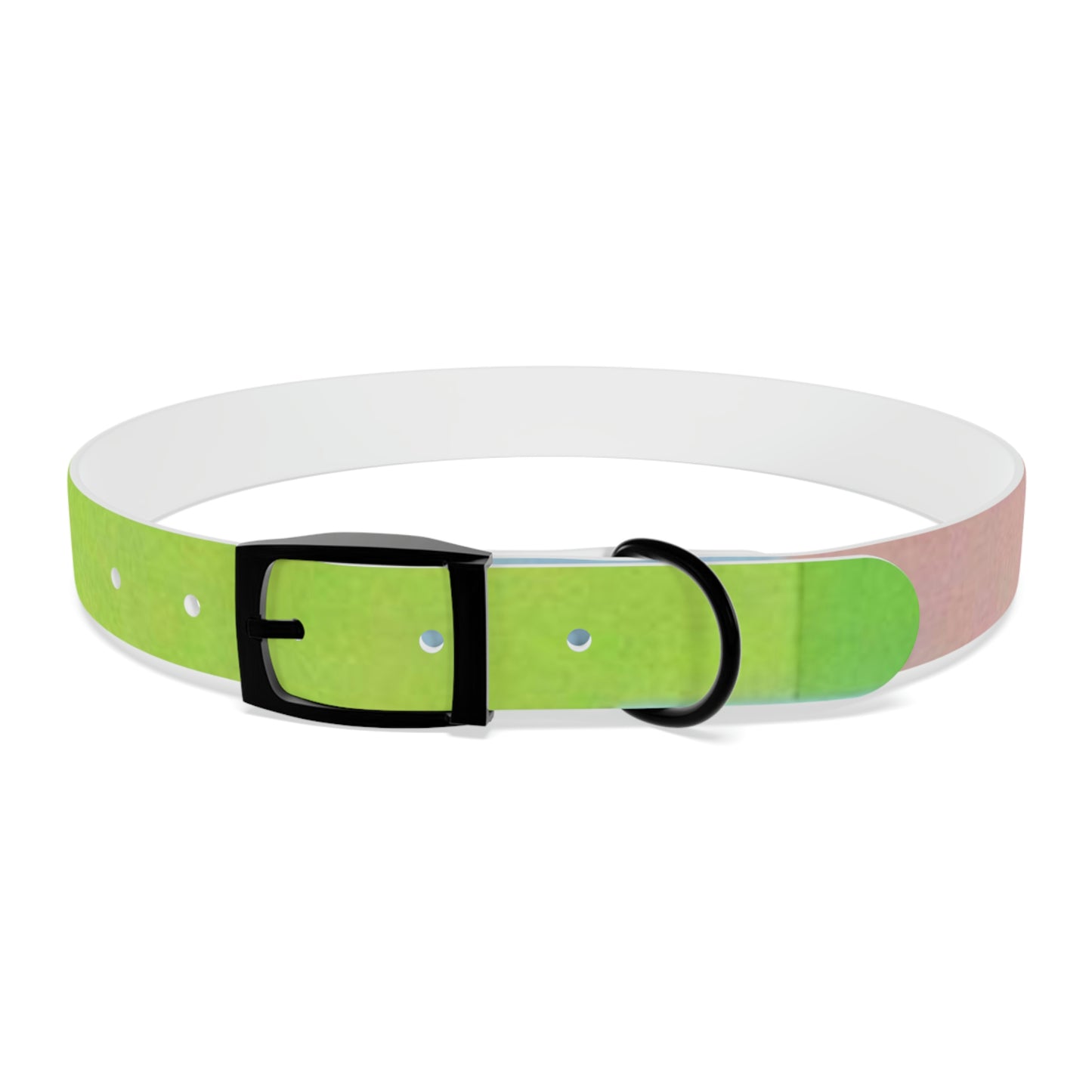 Technicolour Green - Dog Collar ~ Sharon Dawn Collection