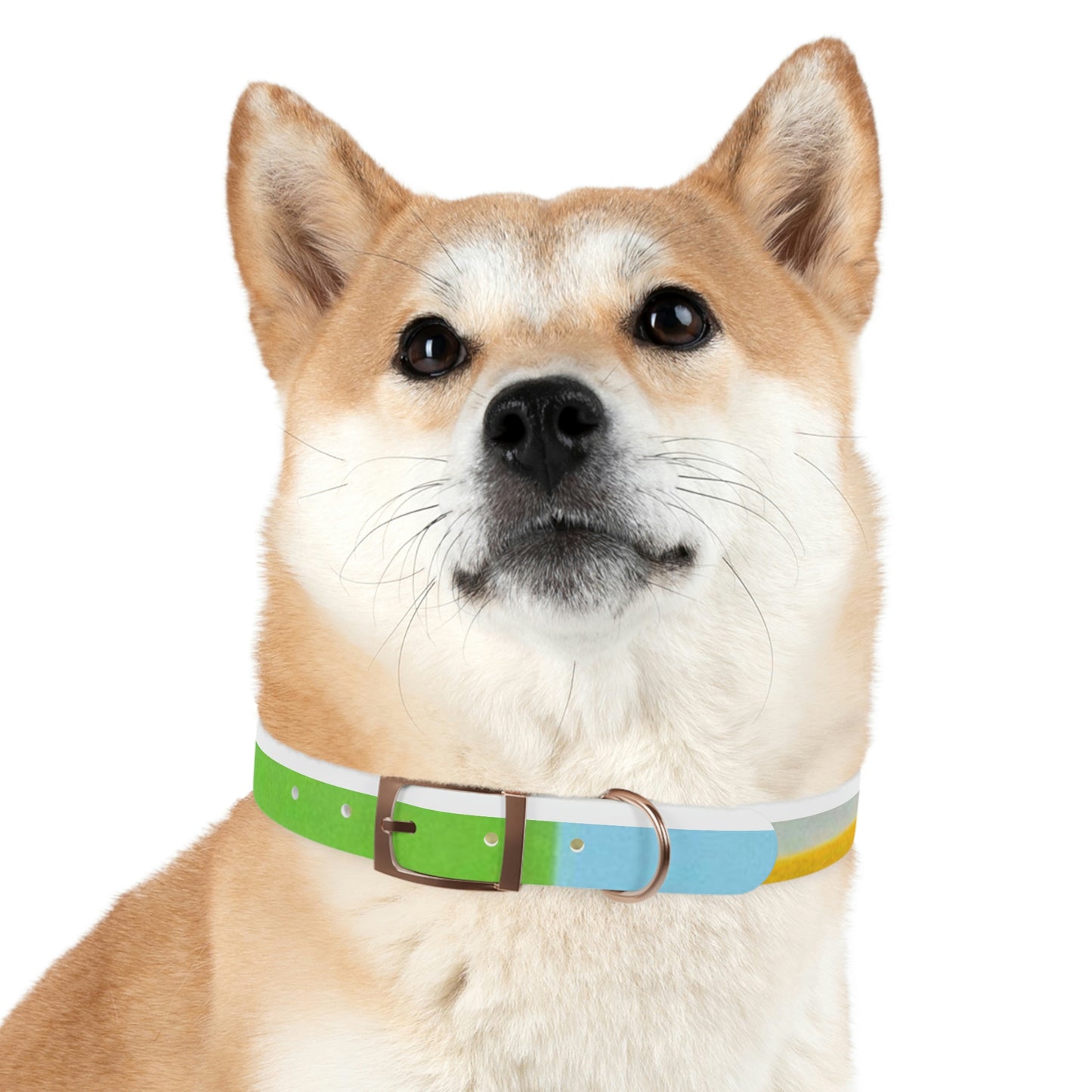 Technicolour Yellow - Dog Collar ~ Sharon Dawn Collection