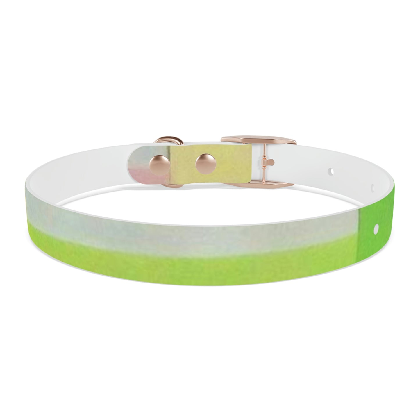 Technicolour Yellow - Dog Collar ~ Sharon Dawn Collection