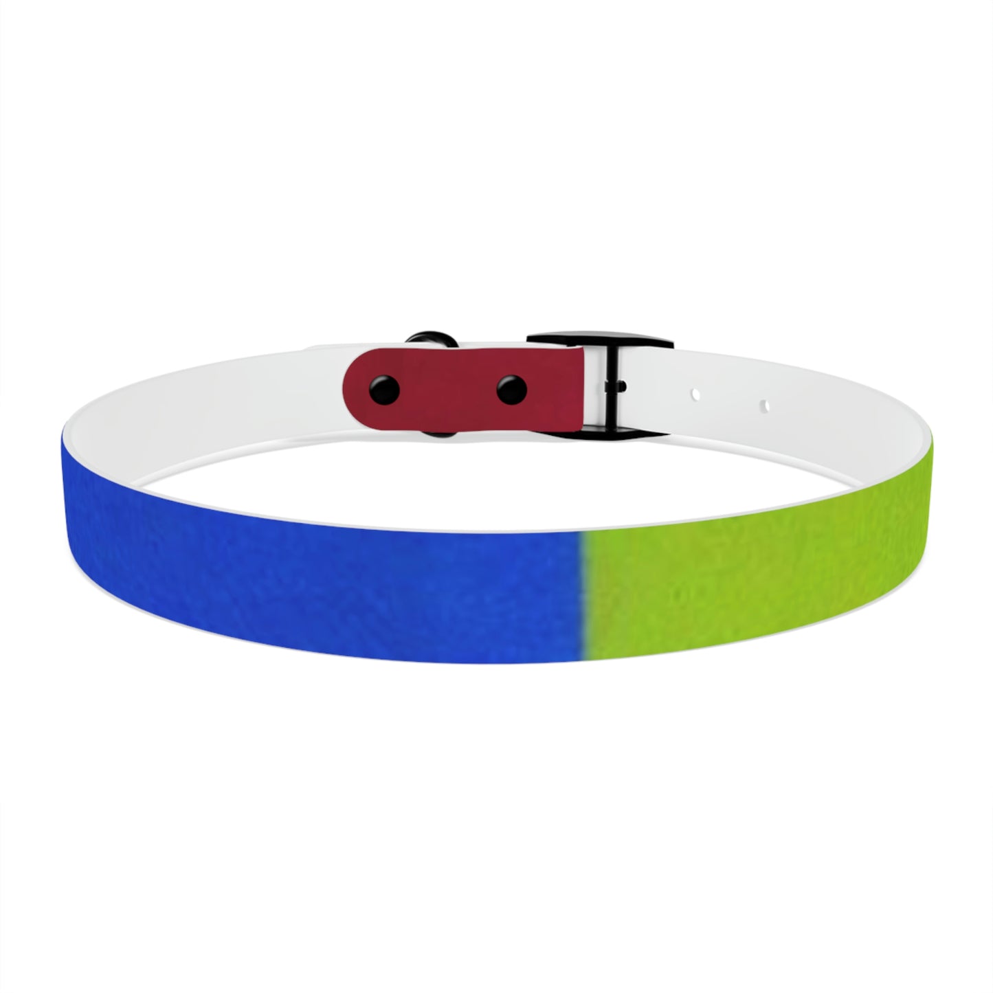 Technicolour Orange - Dog Collar ~ Sharon Dawn Collection