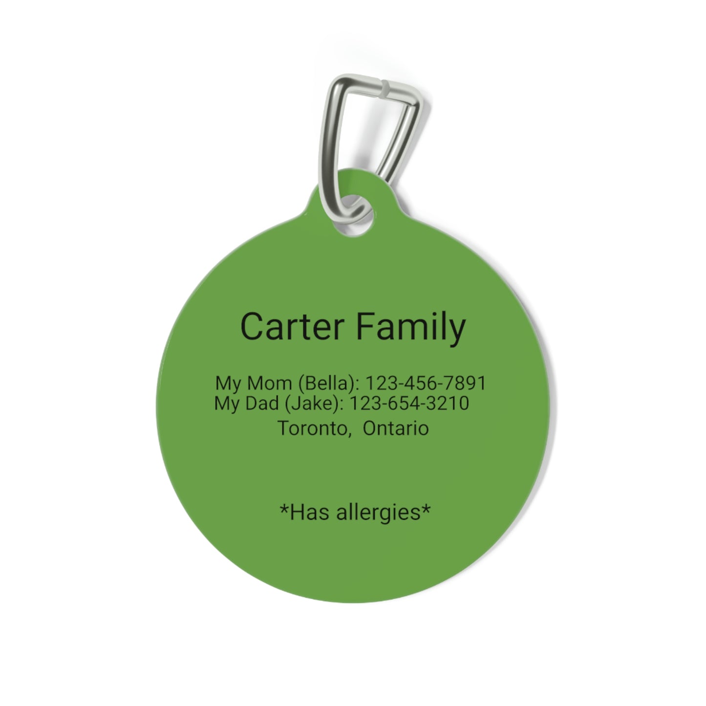 Green Customizable - Pet Tag ~ Sharon Dawn Collection
