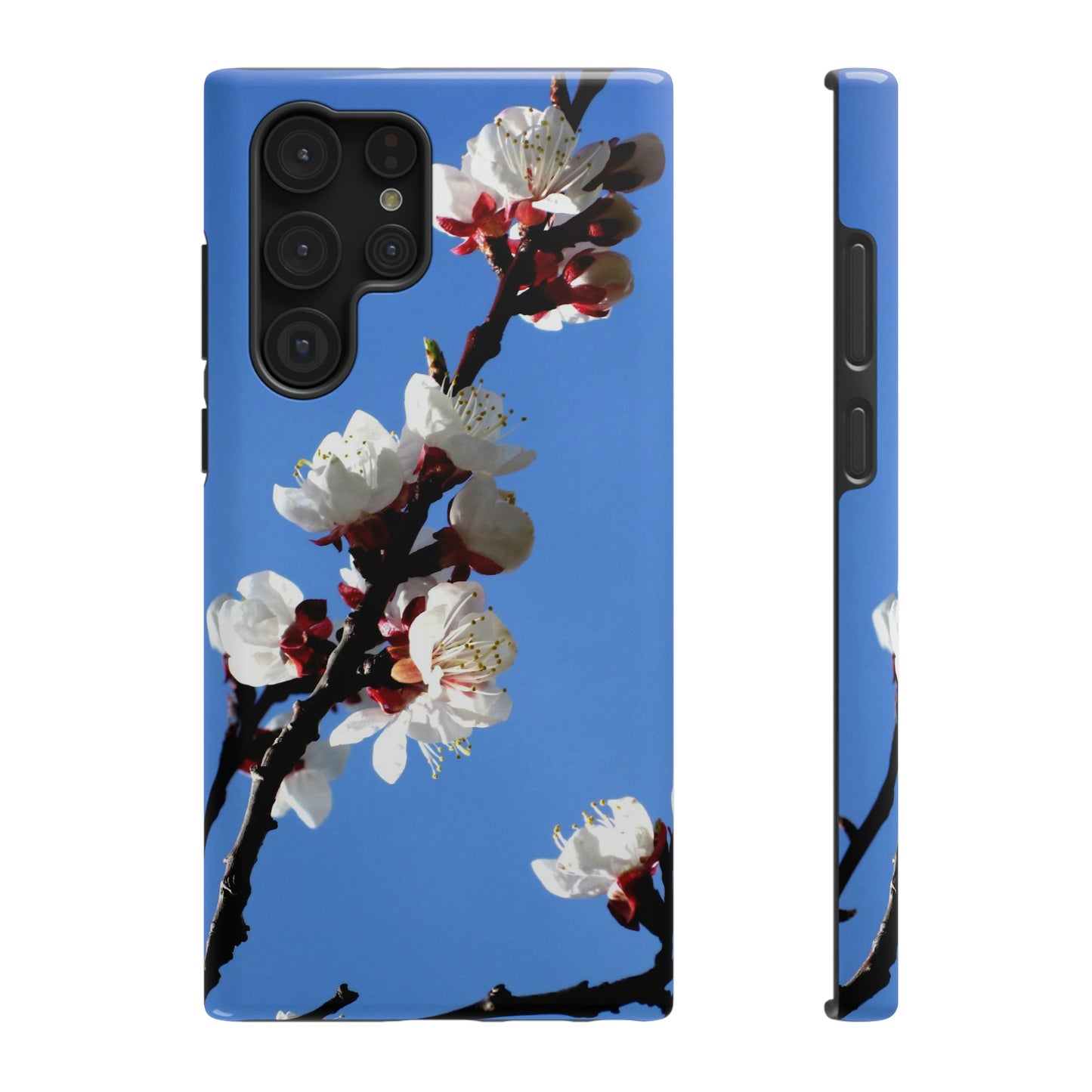 Apricot Blossoms - Impact-Resistant Cases - Phone Case ~ Sharon Dawn Collection