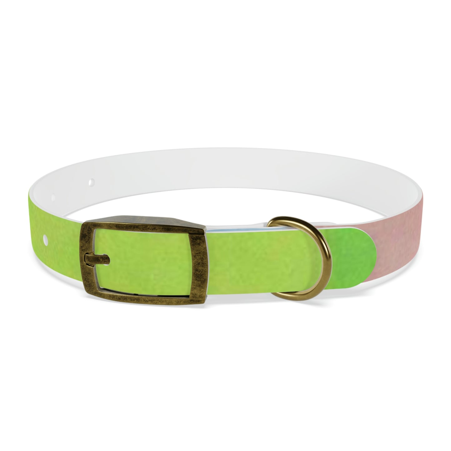 Technicolour Green - Dog Collar ~ Sharon Dawn Collection