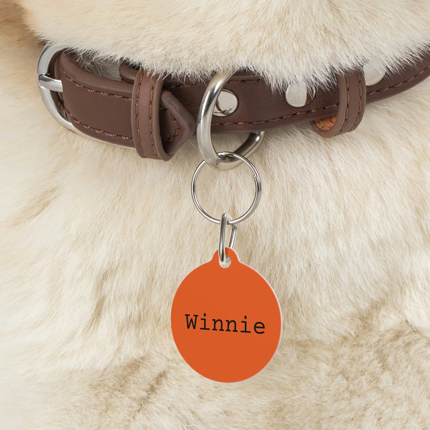 Orange Customizable - Pet Tag ~ Sharon Dawn Collection