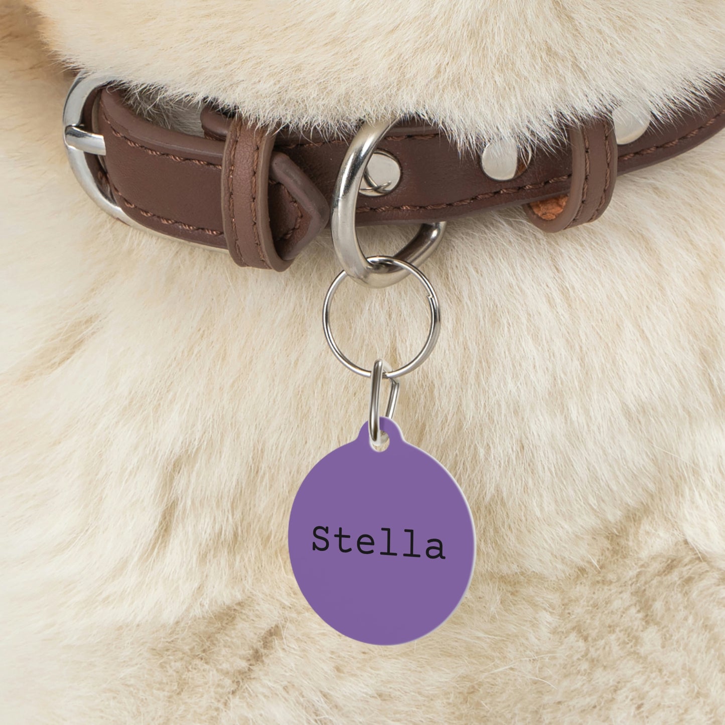 Lilac Customizable - Pet Tag ~ Sharon Dawn Collection