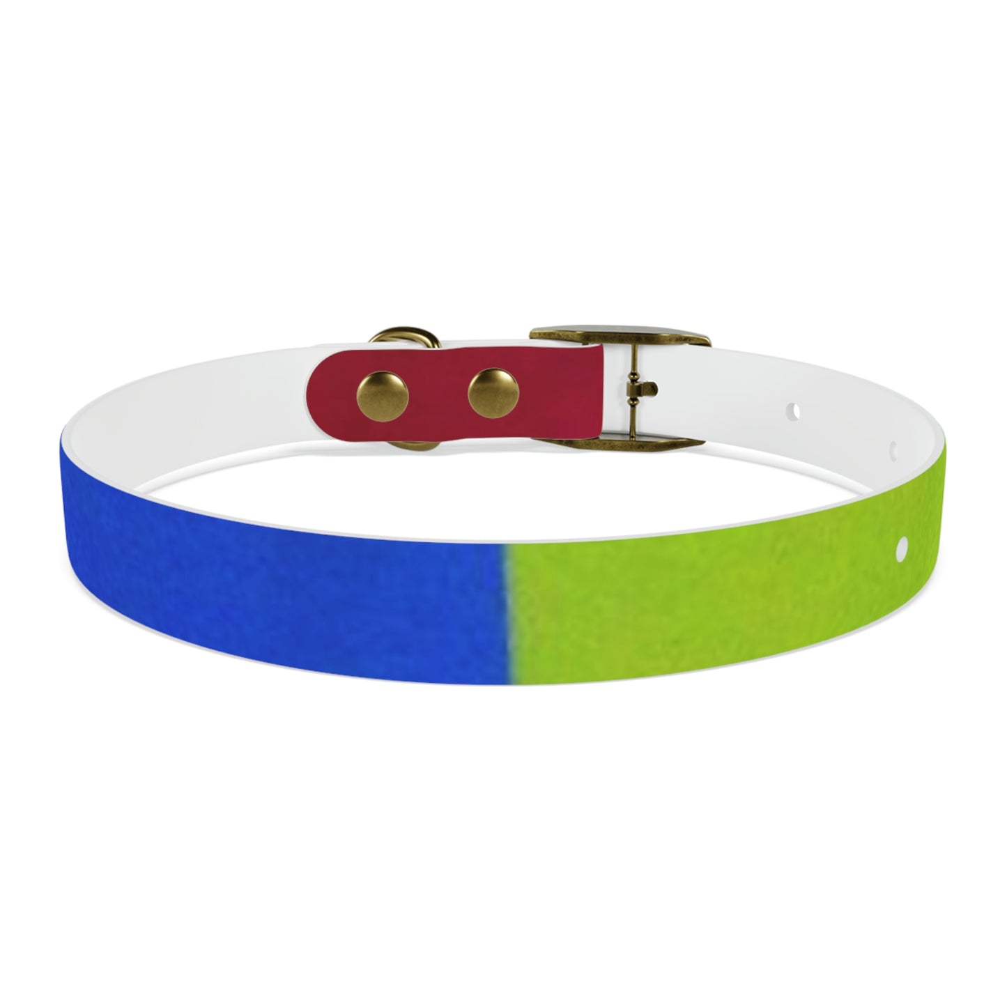 Technicolour Orange - Dog Collar ~ Sharon Dawn Collection
