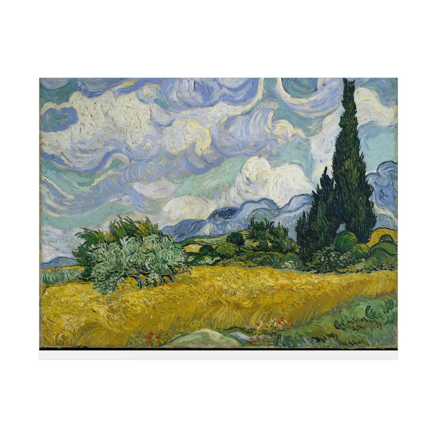 Wheat Field with Cypresses - Vincent Van Gogh - Rolled Posters