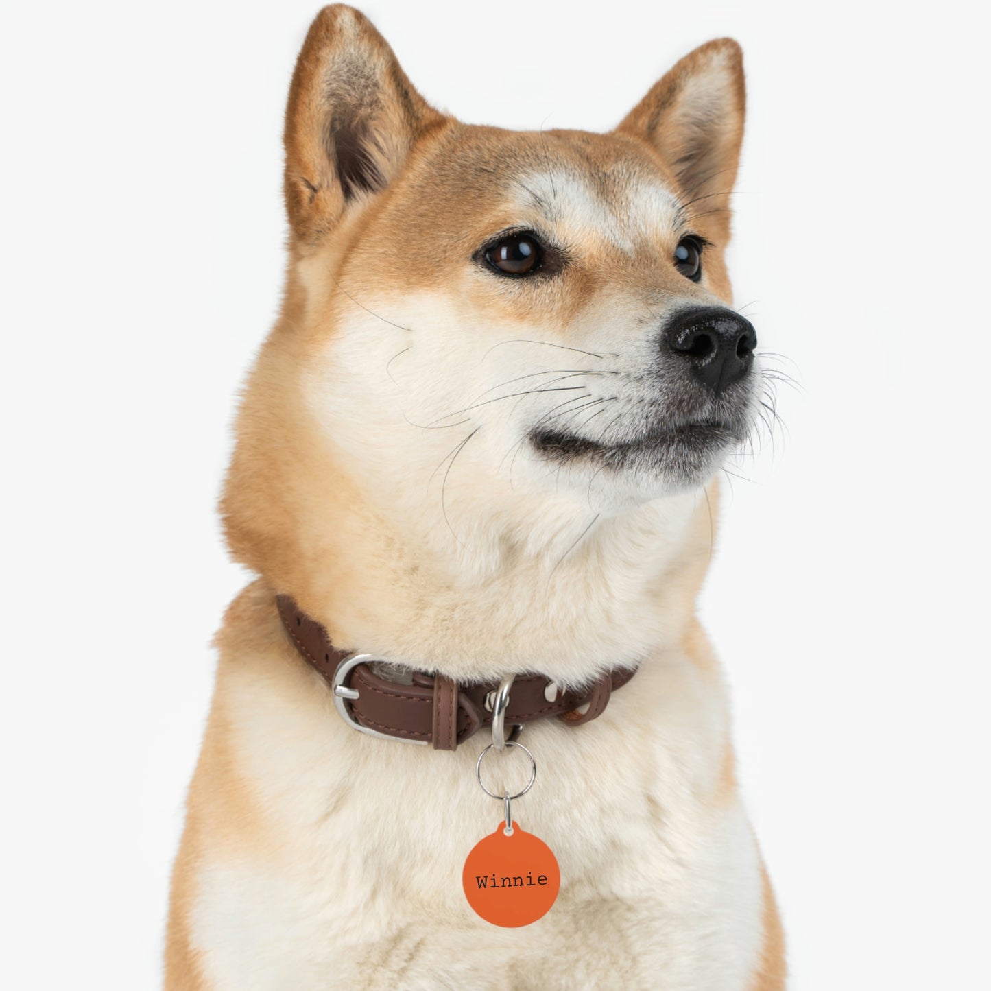 Orange Customizable - Pet Tag ~ Sharon Dawn Collection