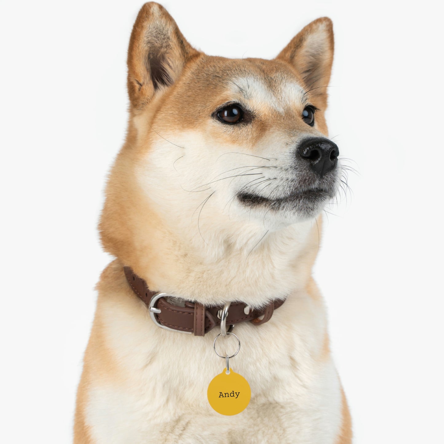 Yellow Customizable - Pet Tag ~ Sharon Dawn Collection