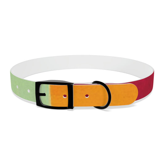 Technicolour Orange - Dog Collar ~ Sharon Dawn Collection