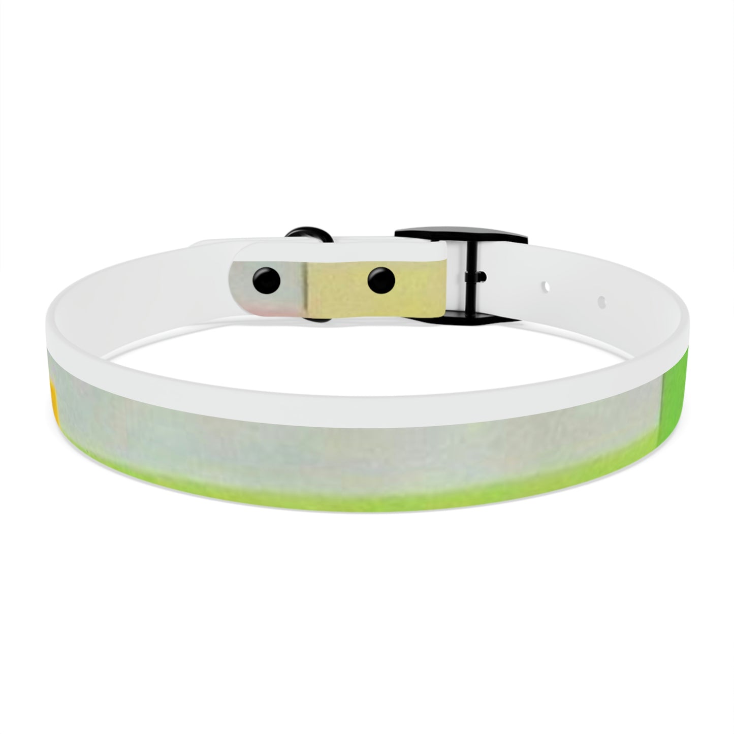 Technicolour Yellow - Dog Collar ~ Sharon Dawn Collection