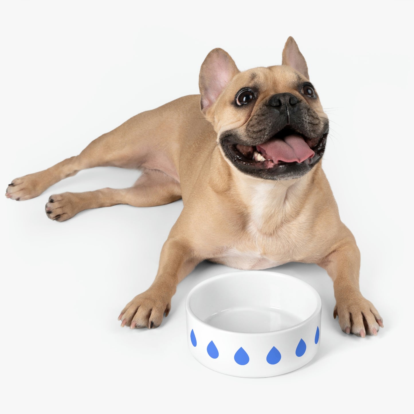 Water - Pet Bowl ~ Sharon Dawn Collection